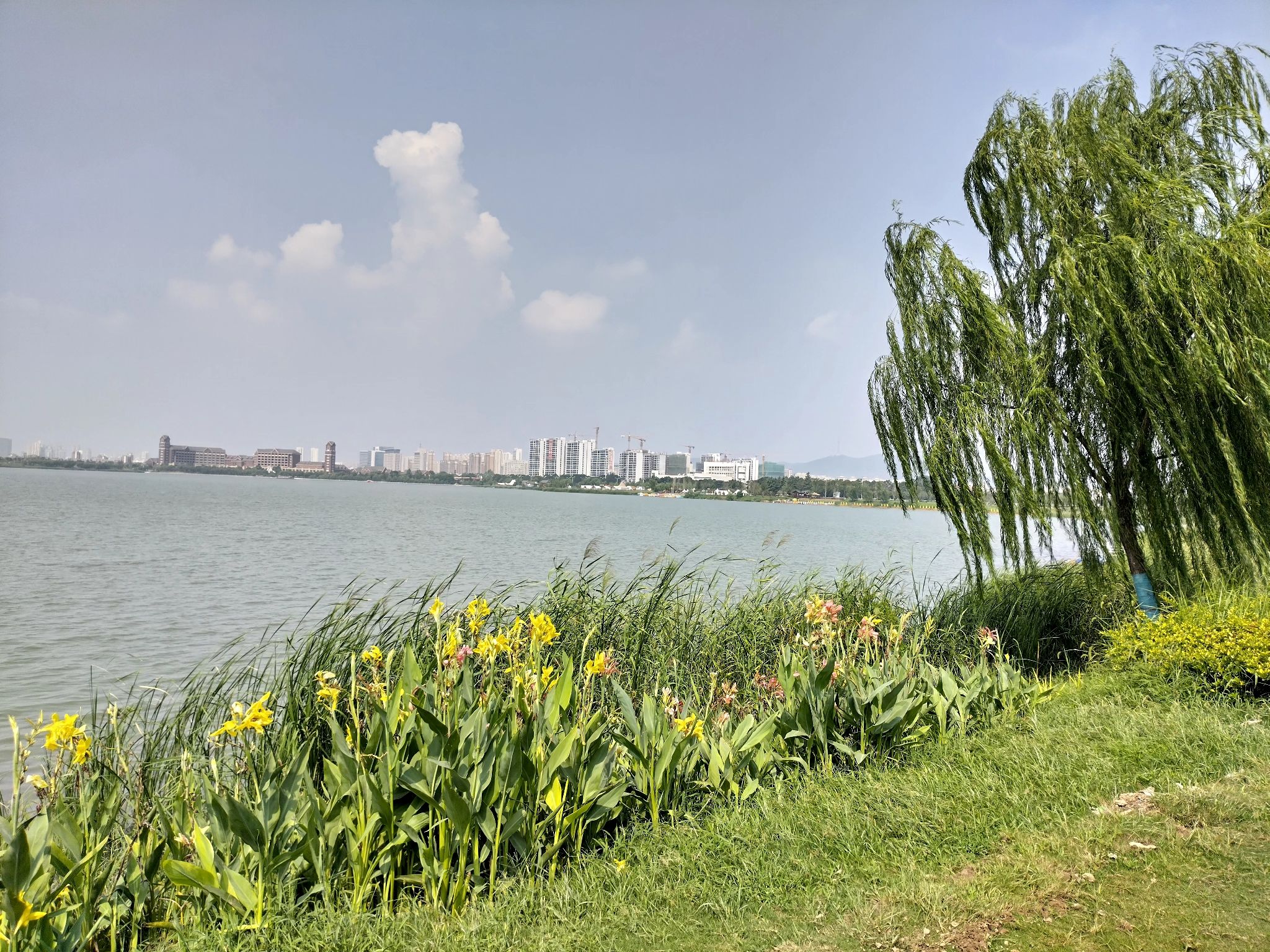 绿金湖湿地公园旅行图片 3