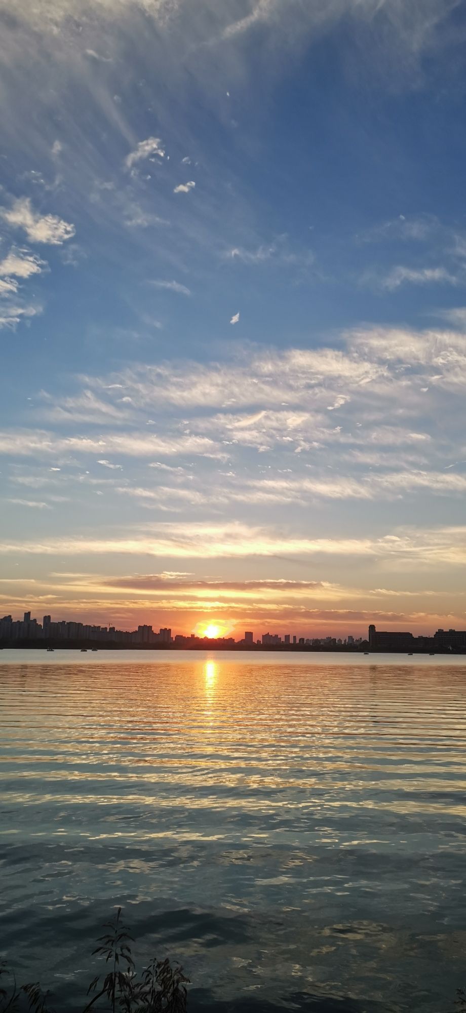 绿金湖湿地公园