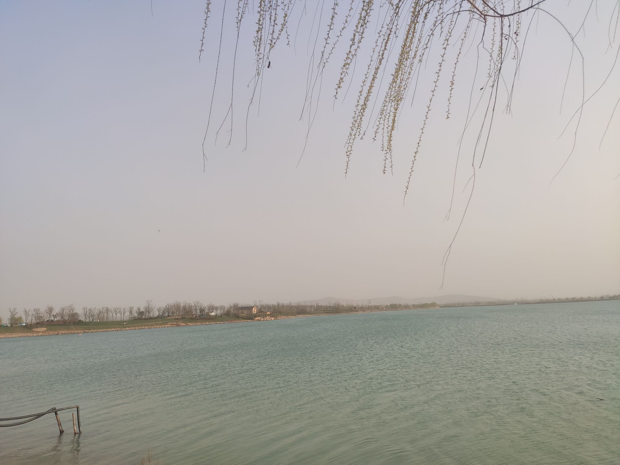 绿金湖湿地公园旅行图片 1