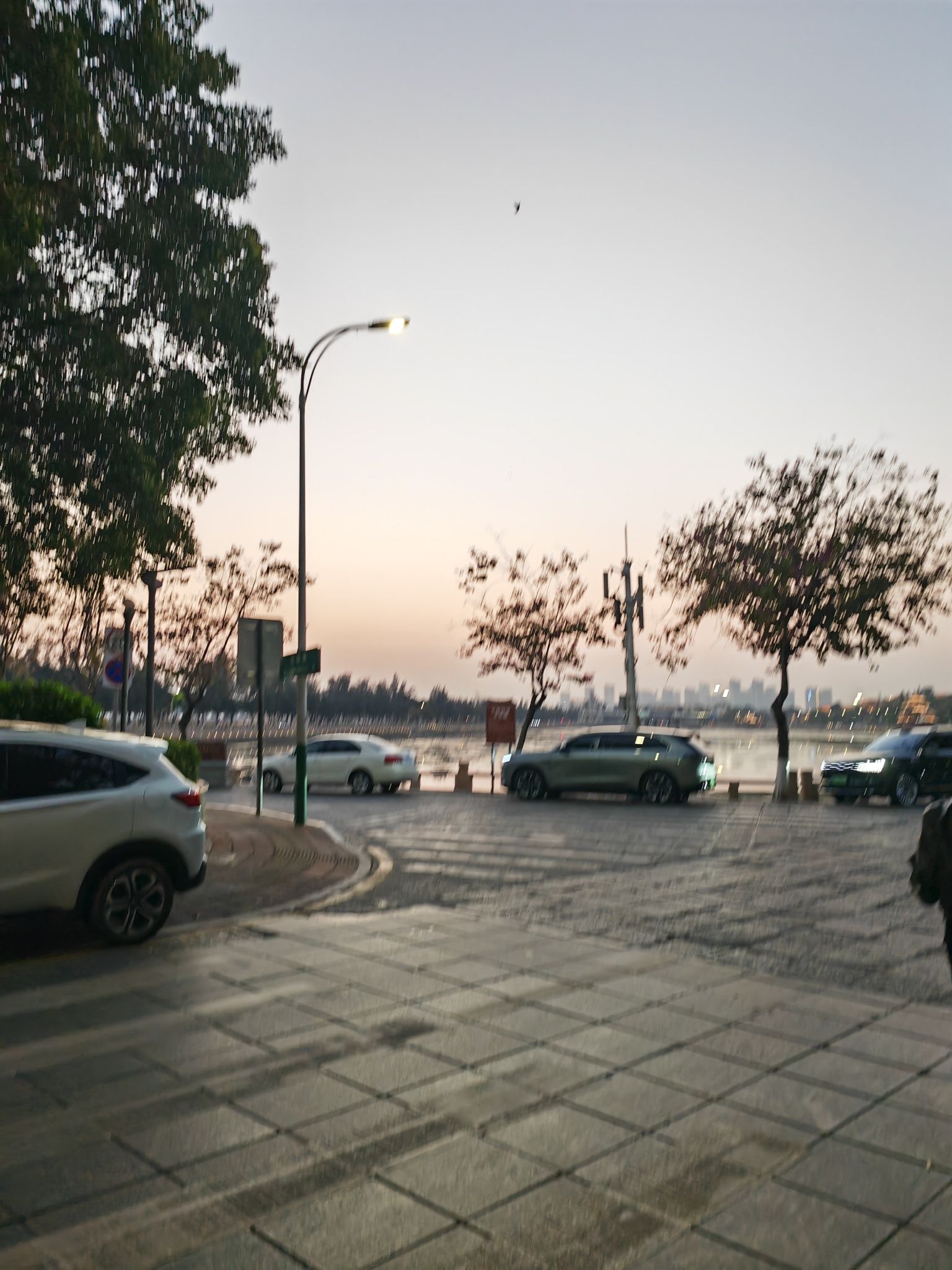 南薰楼群旅行图片 3