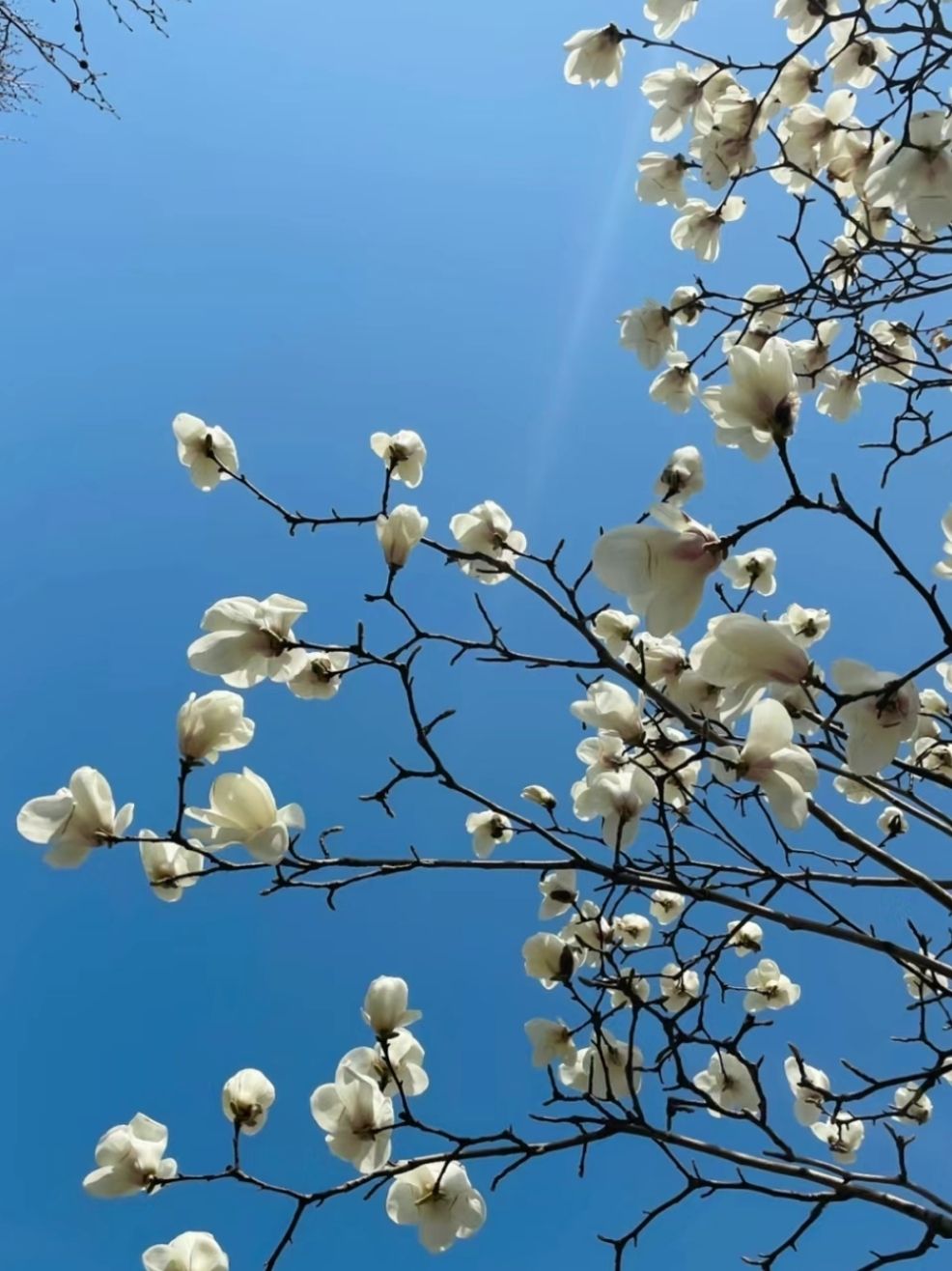 花仙谷景区旅行图片 1