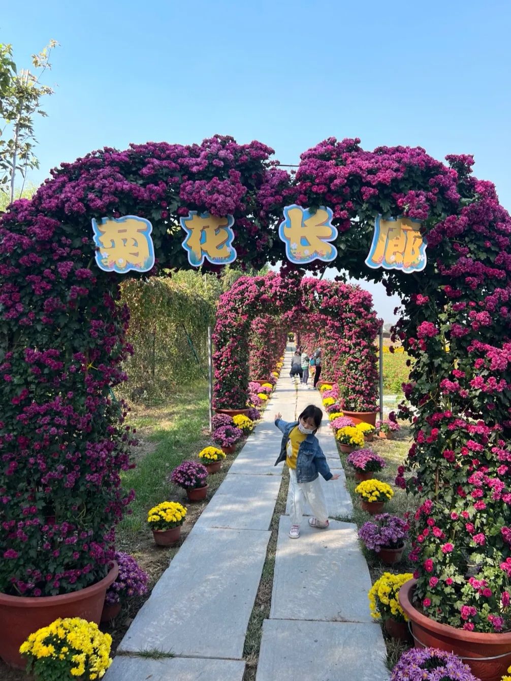 花仙谷景区旅行图片 3