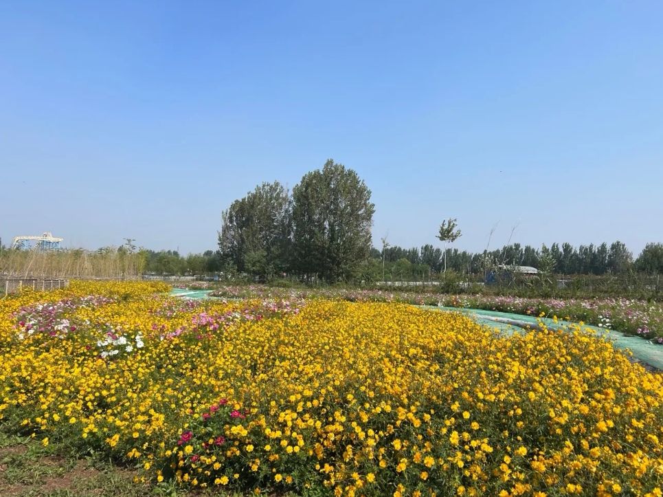 花仙谷景区旅行图片 2