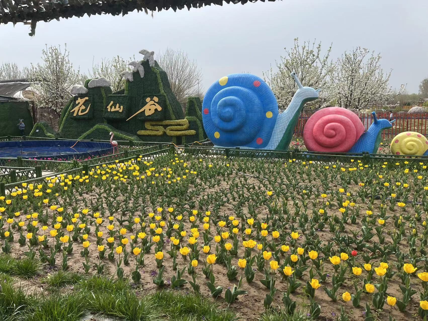 花仙谷景区旅行图片 2