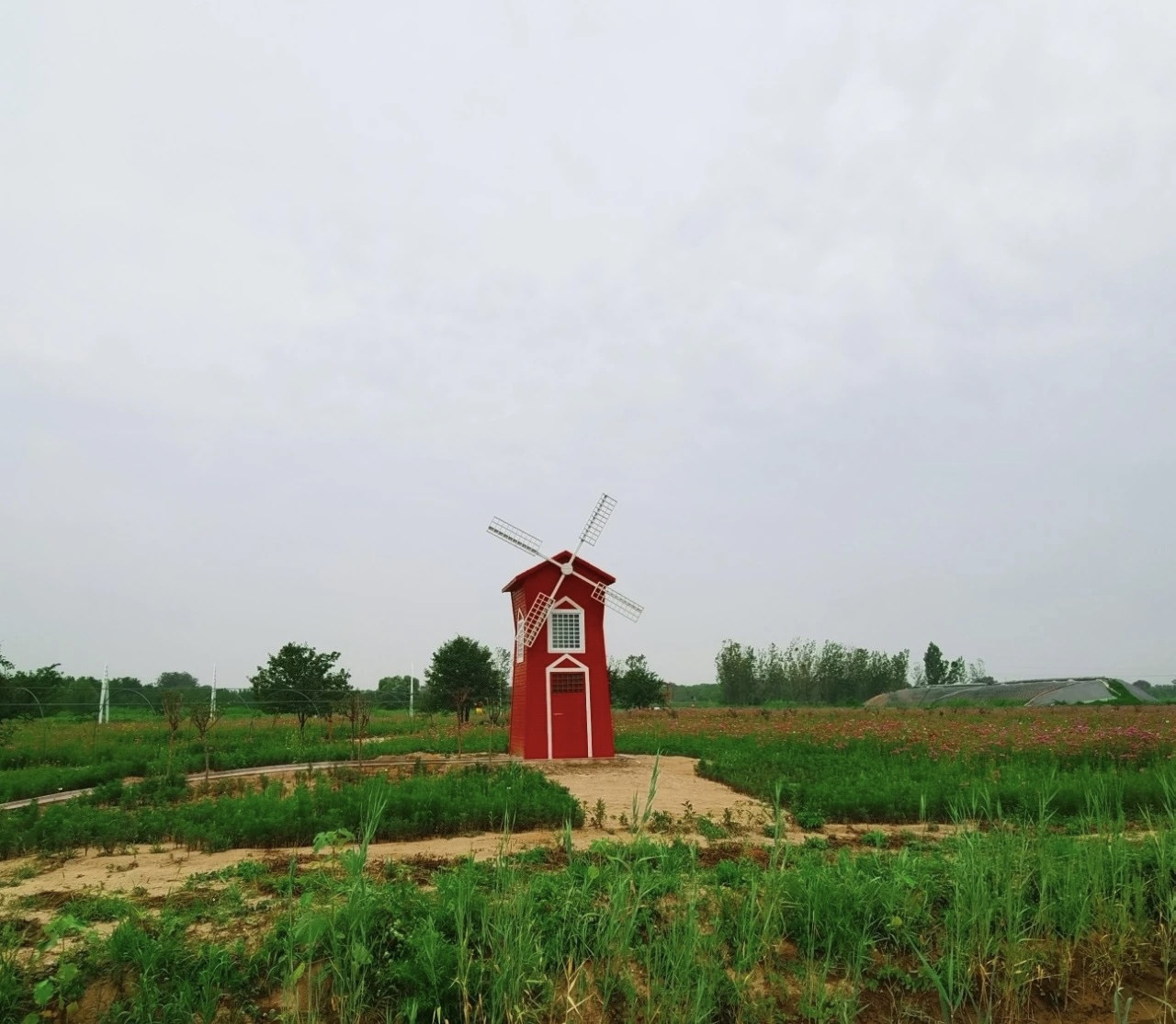 花仙谷景区旅行图片 1