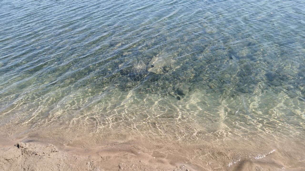 天鹅湖旅行图片 1