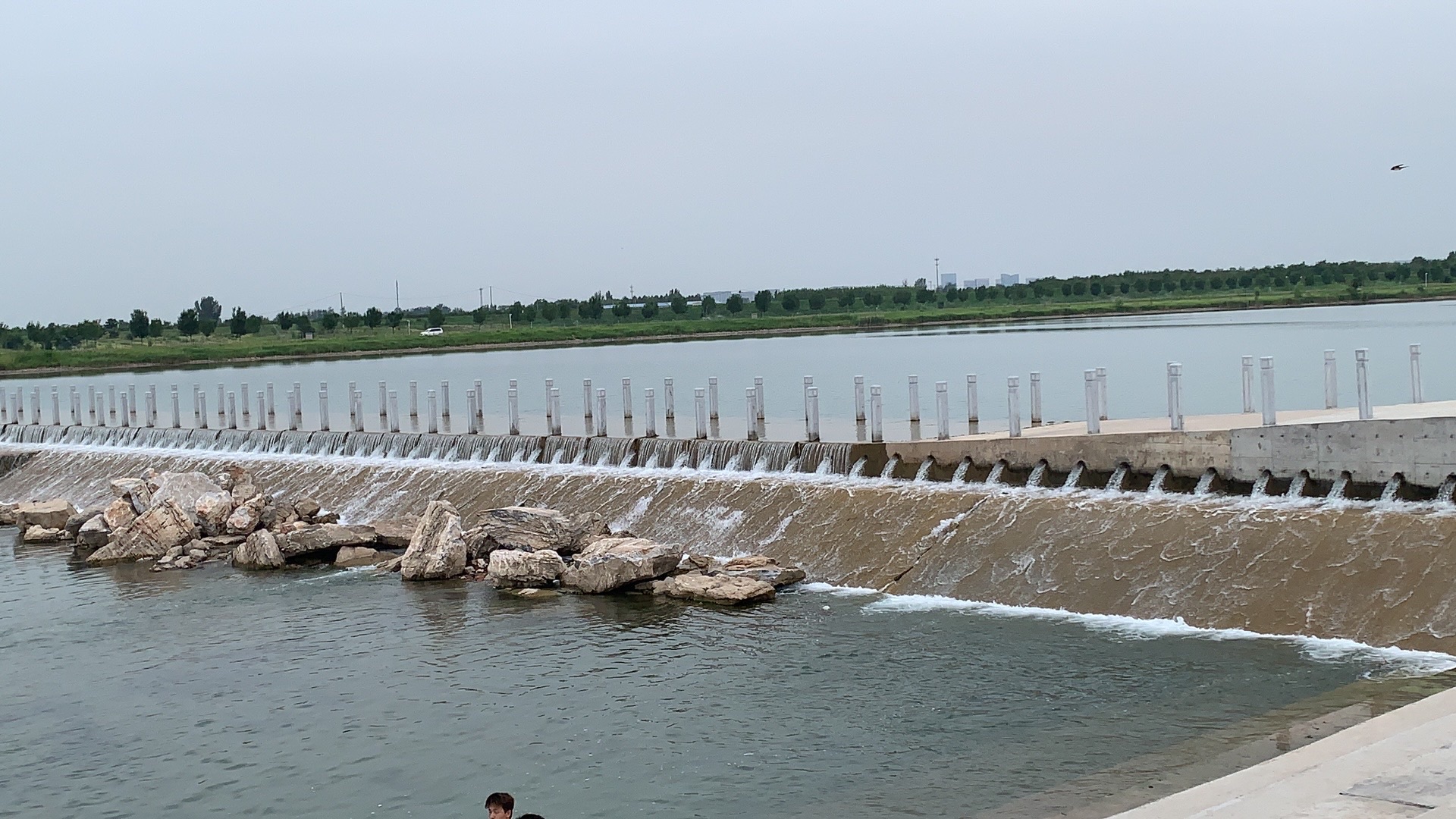 天鹅湖旅行图片 1