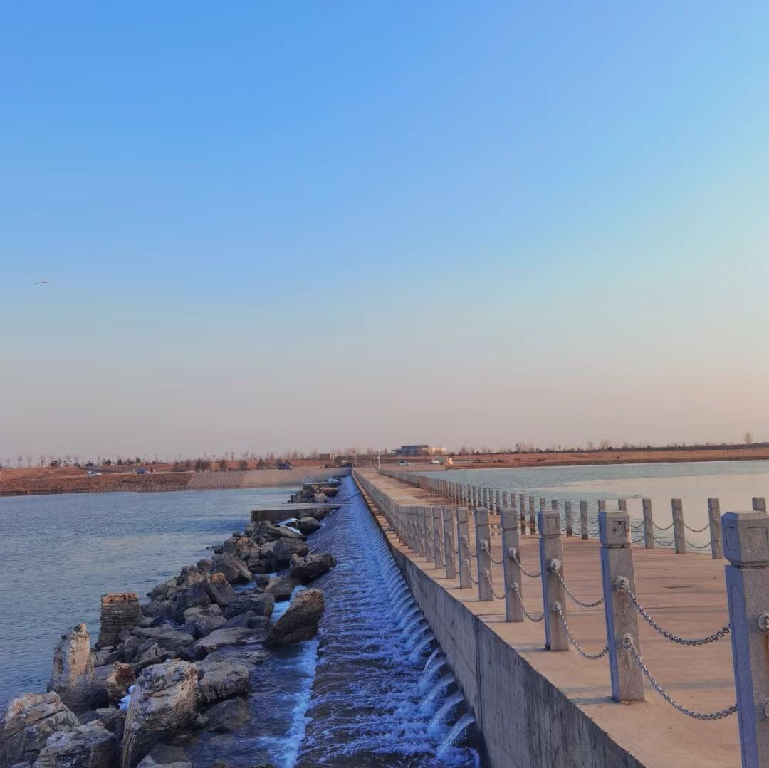 天鹅湖旅行图片 3