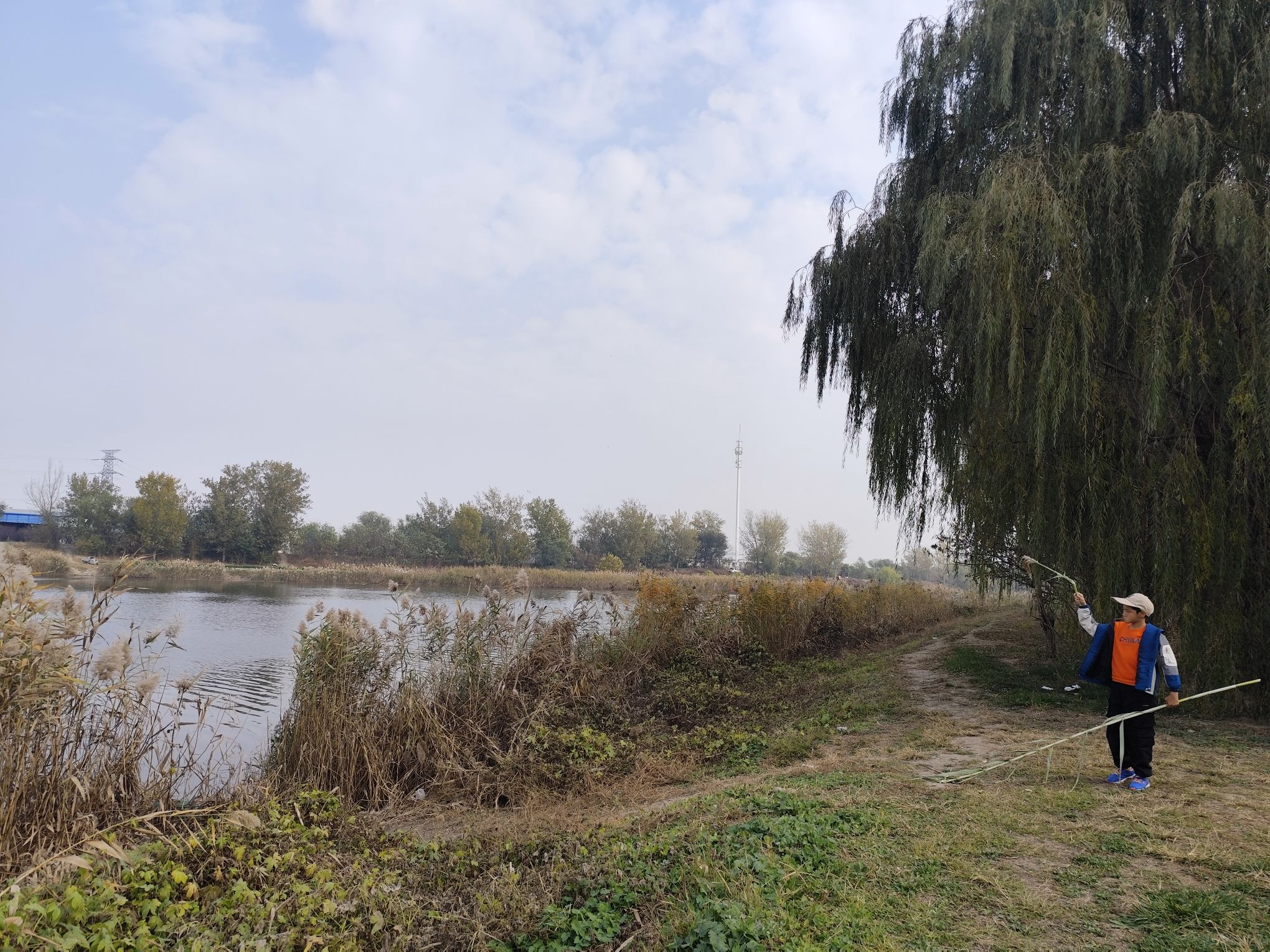 新金郊野公园旅行图片 1