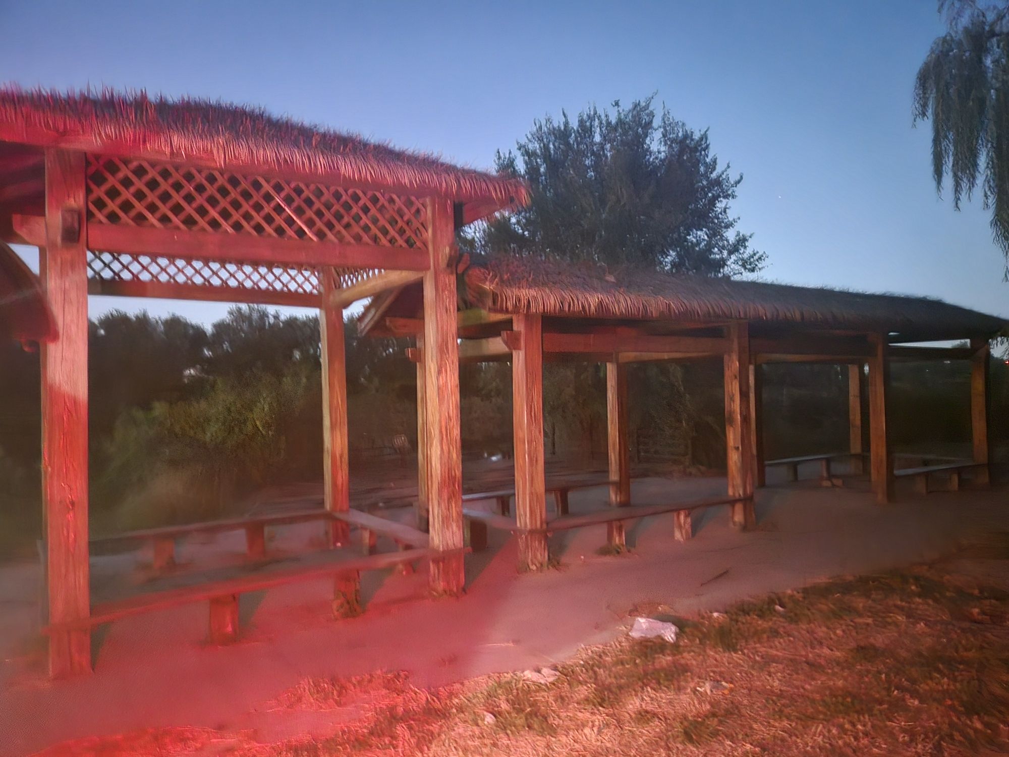 新金郊野公园旅行图片 1