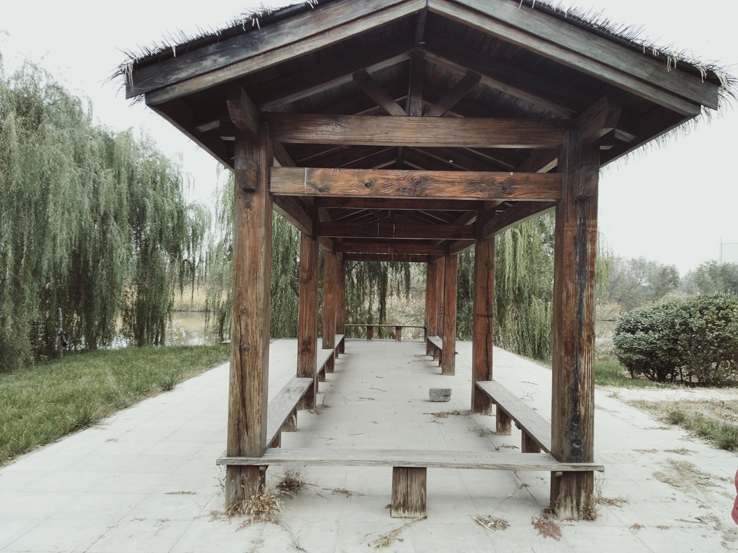 新金郊野公园旅行图片 3