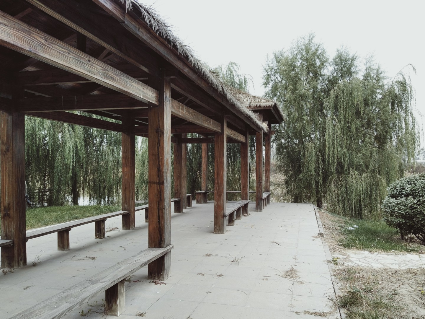 新金郊野公园旅行图片 2