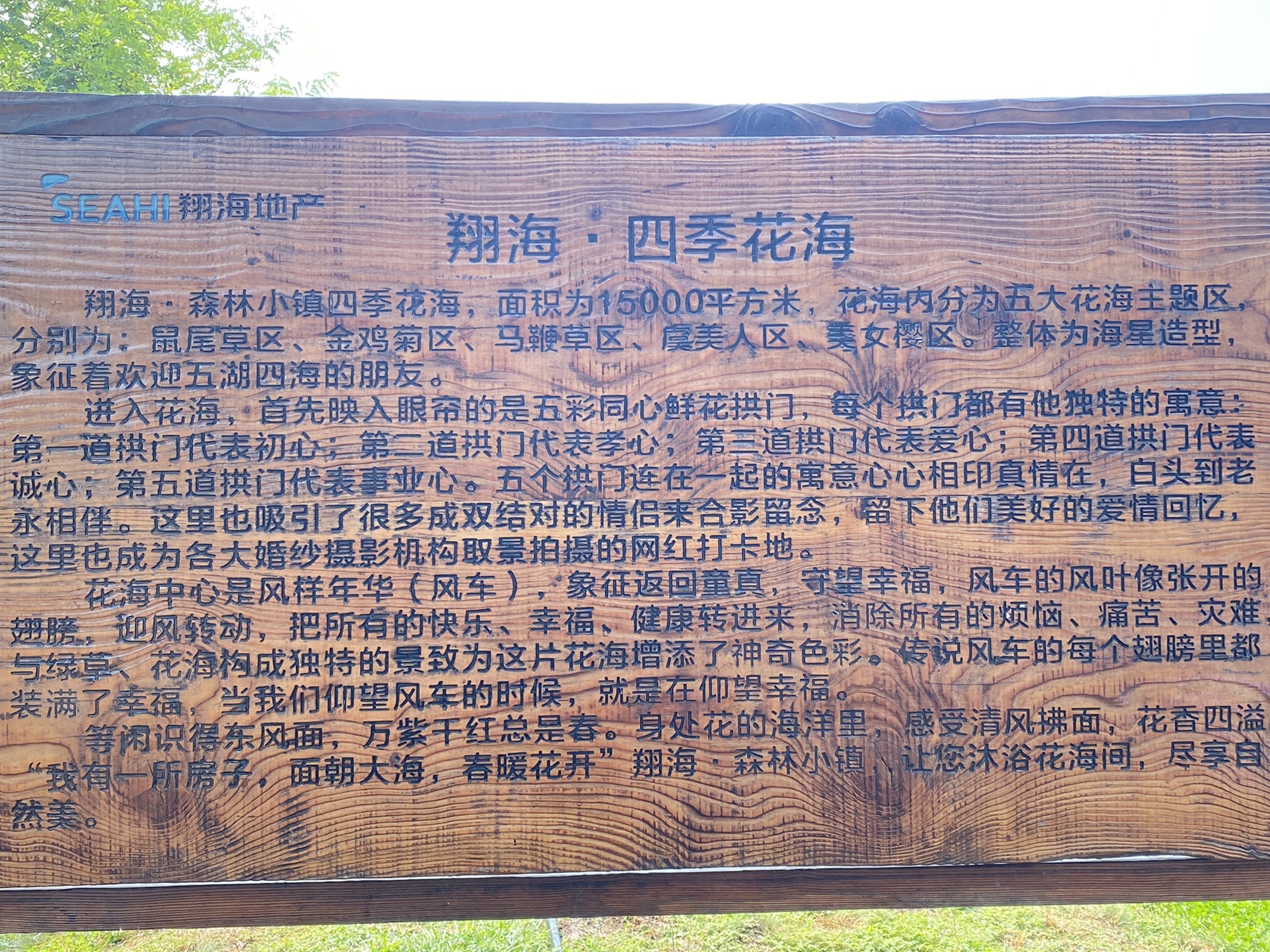 翔海·森林公园旅行图片 2