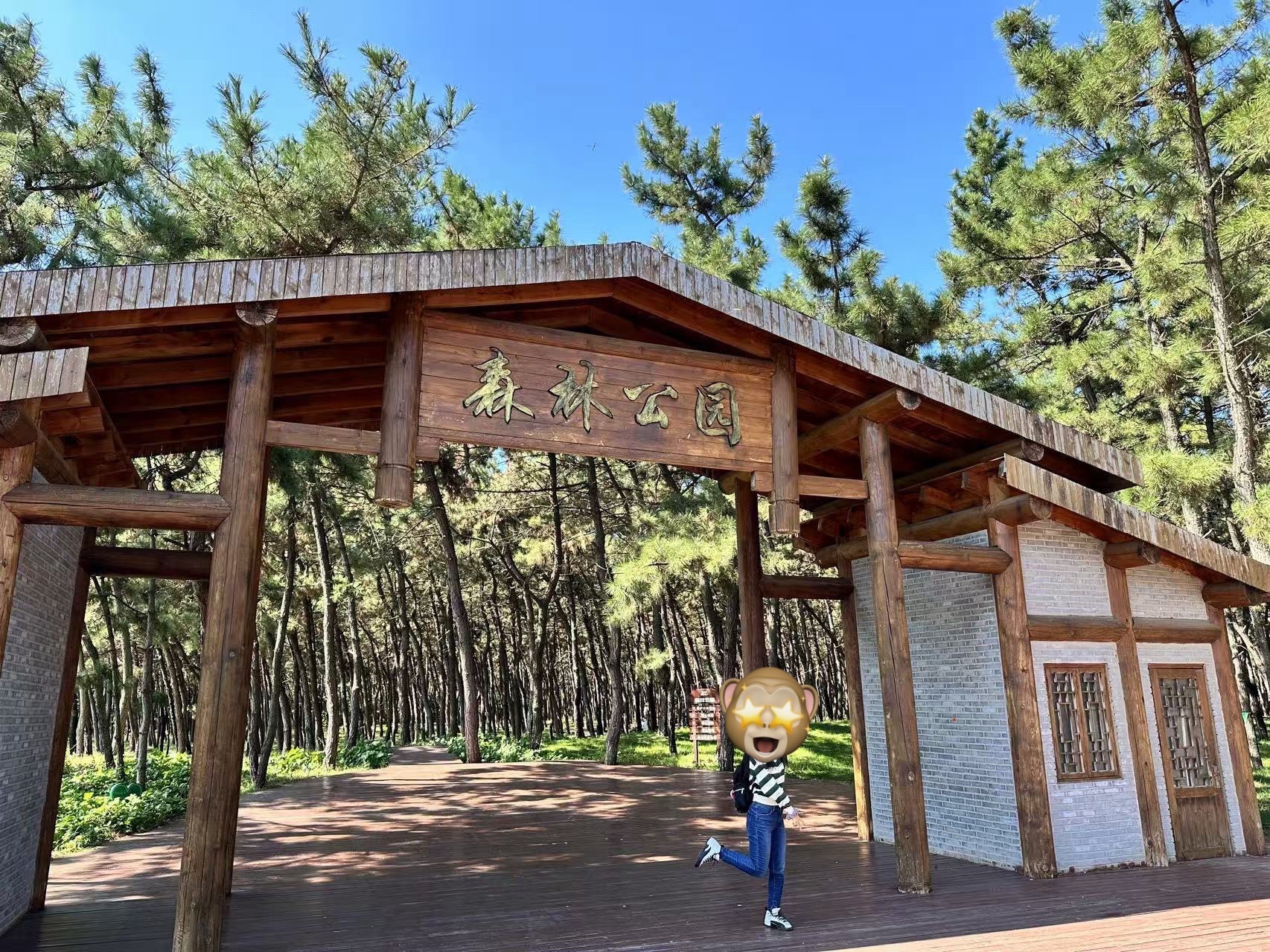 翔海·森林公园旅行图片 2