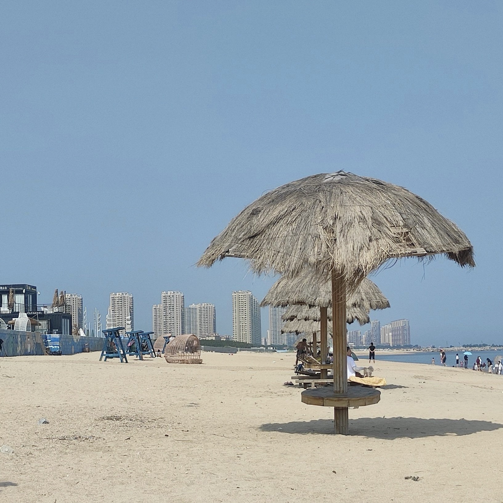 翔海·森林公园旅行图片 3