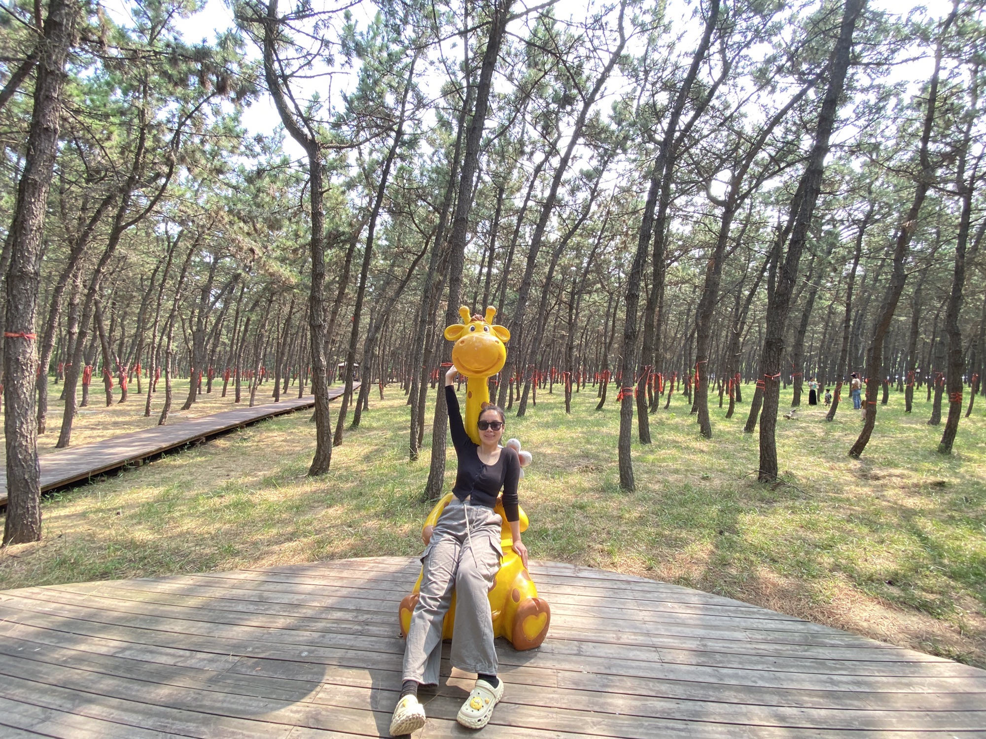 翔海·森林公园旅行图片 1