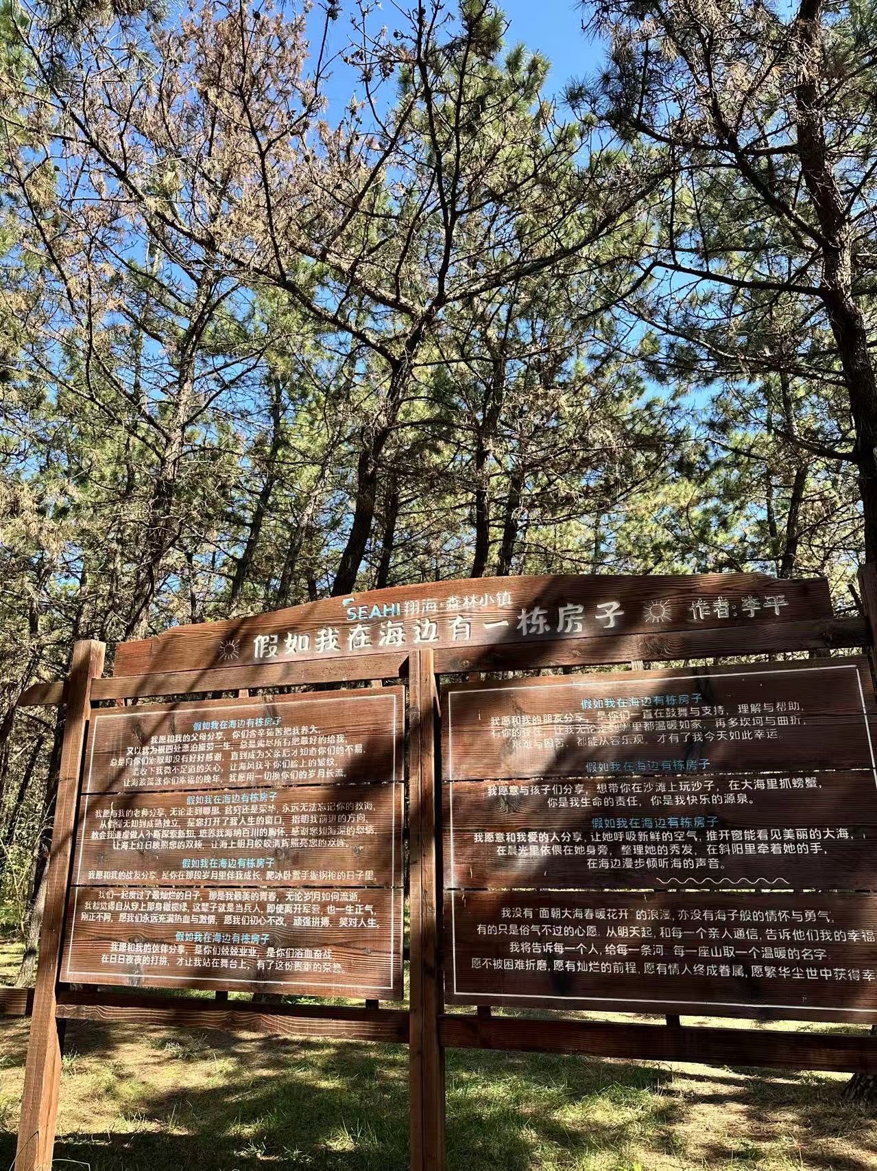 翔海·森林公园旅行图片 3