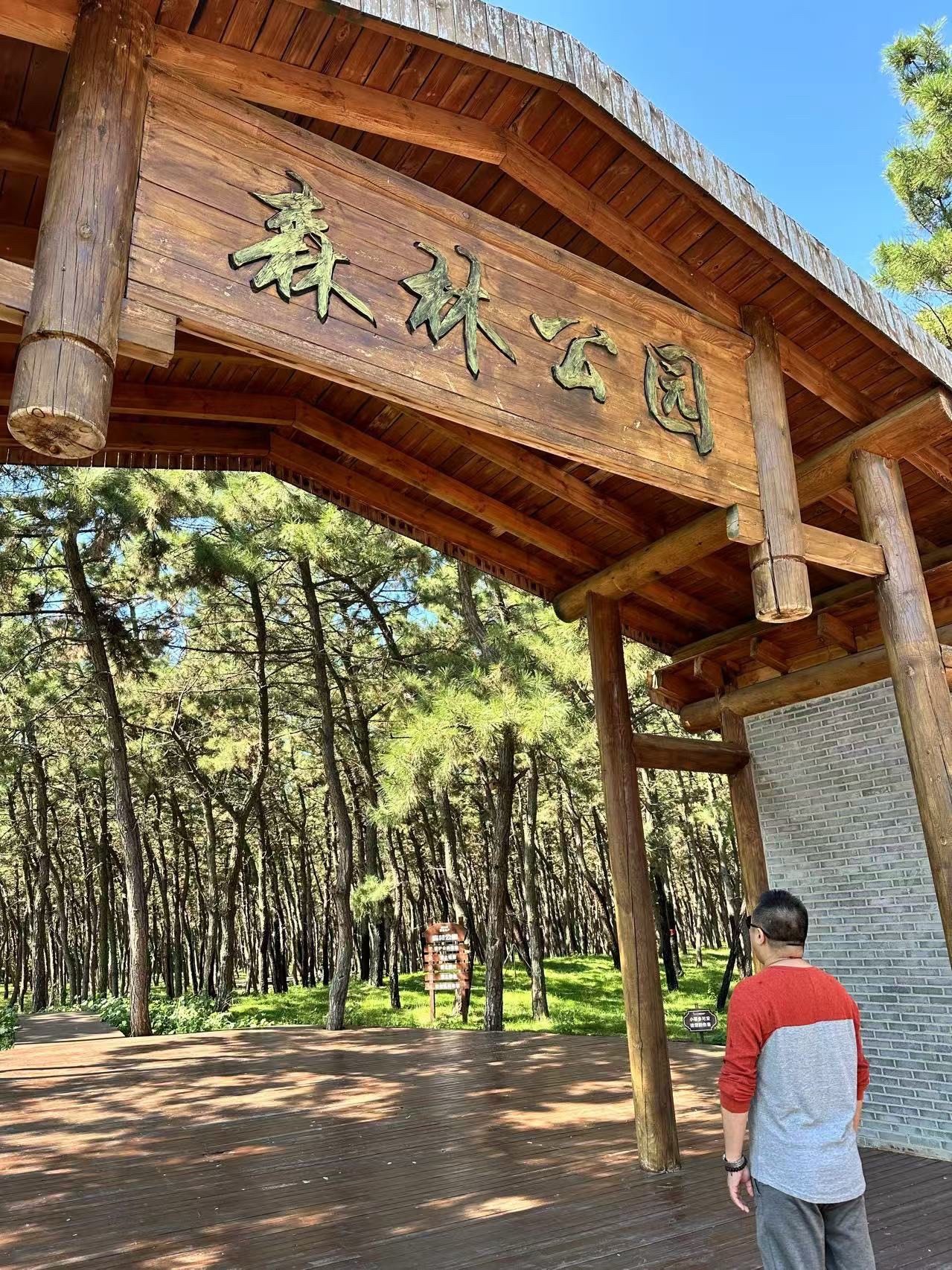 翔海·森林公园旅行图片 1