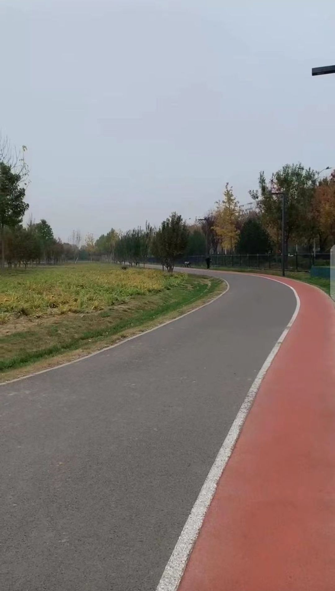 西红门生态公园旅行图片 3
