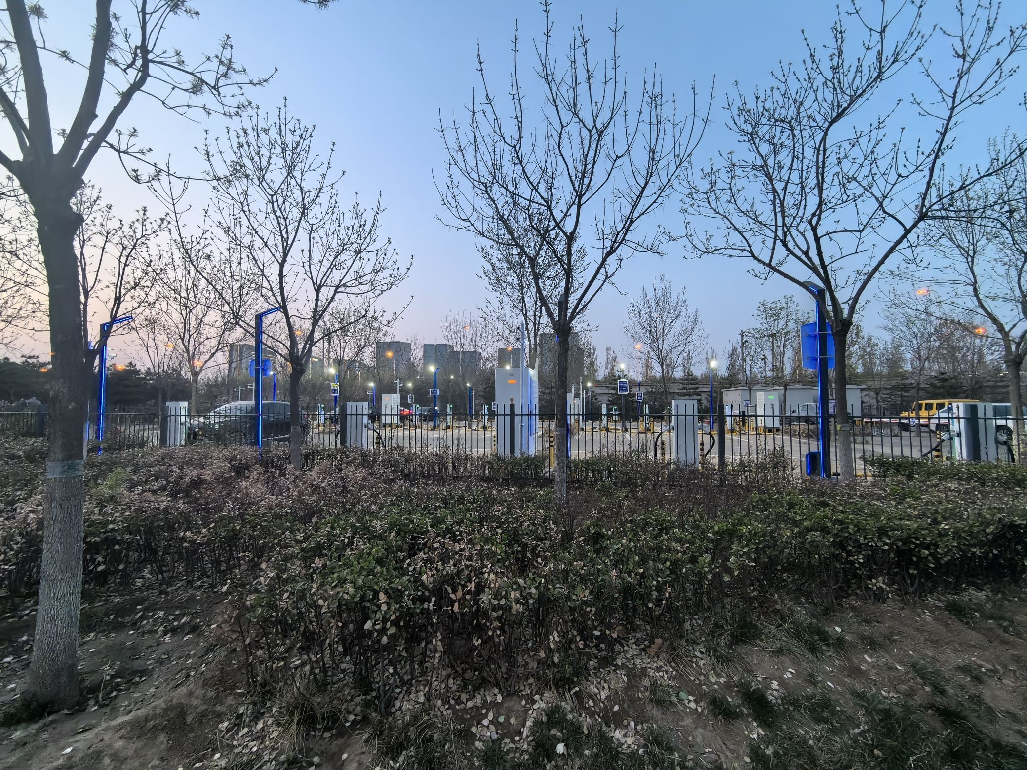 西红门生态公园旅行图片 3