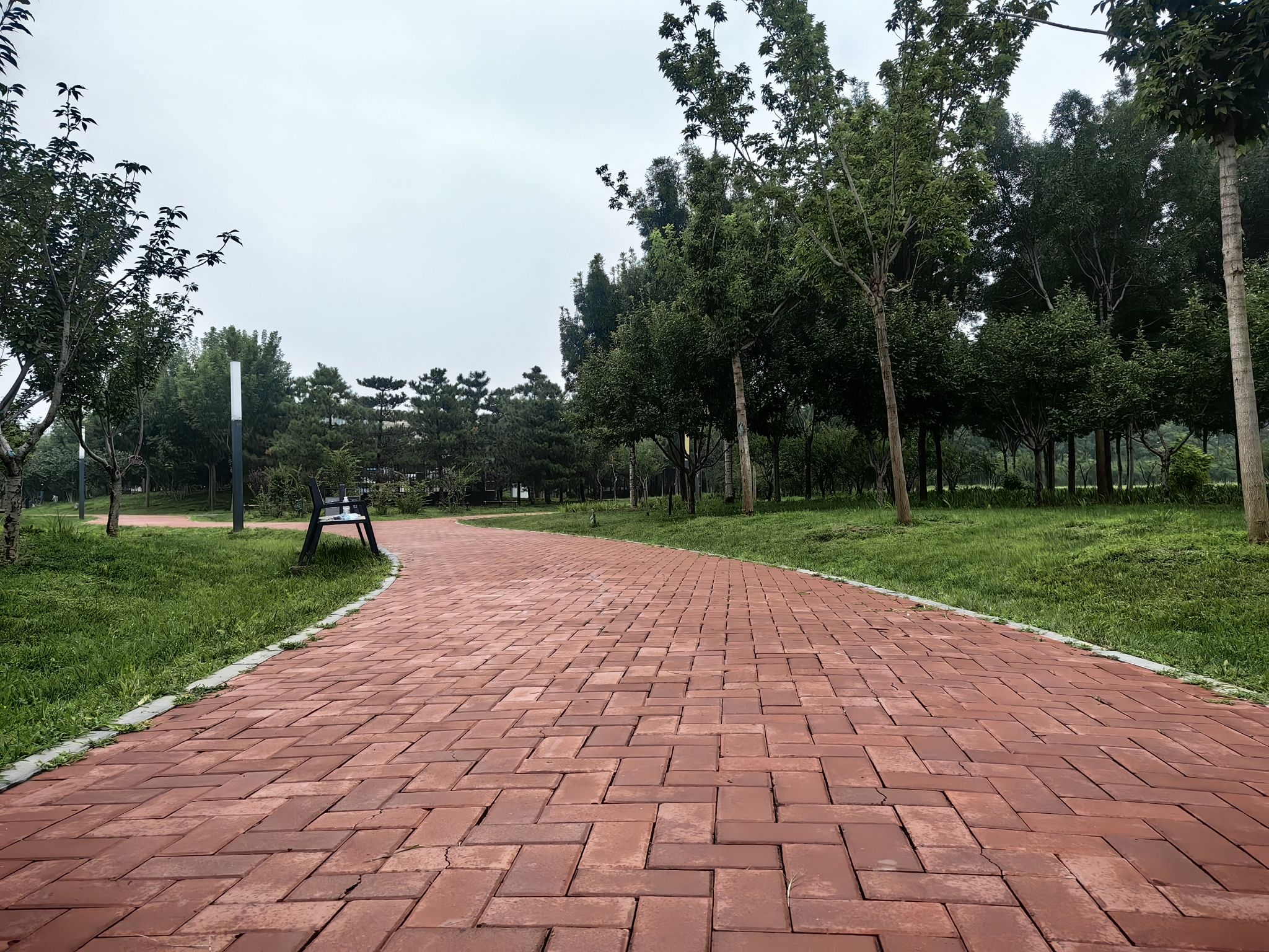 西红门生态公园旅行图片 2