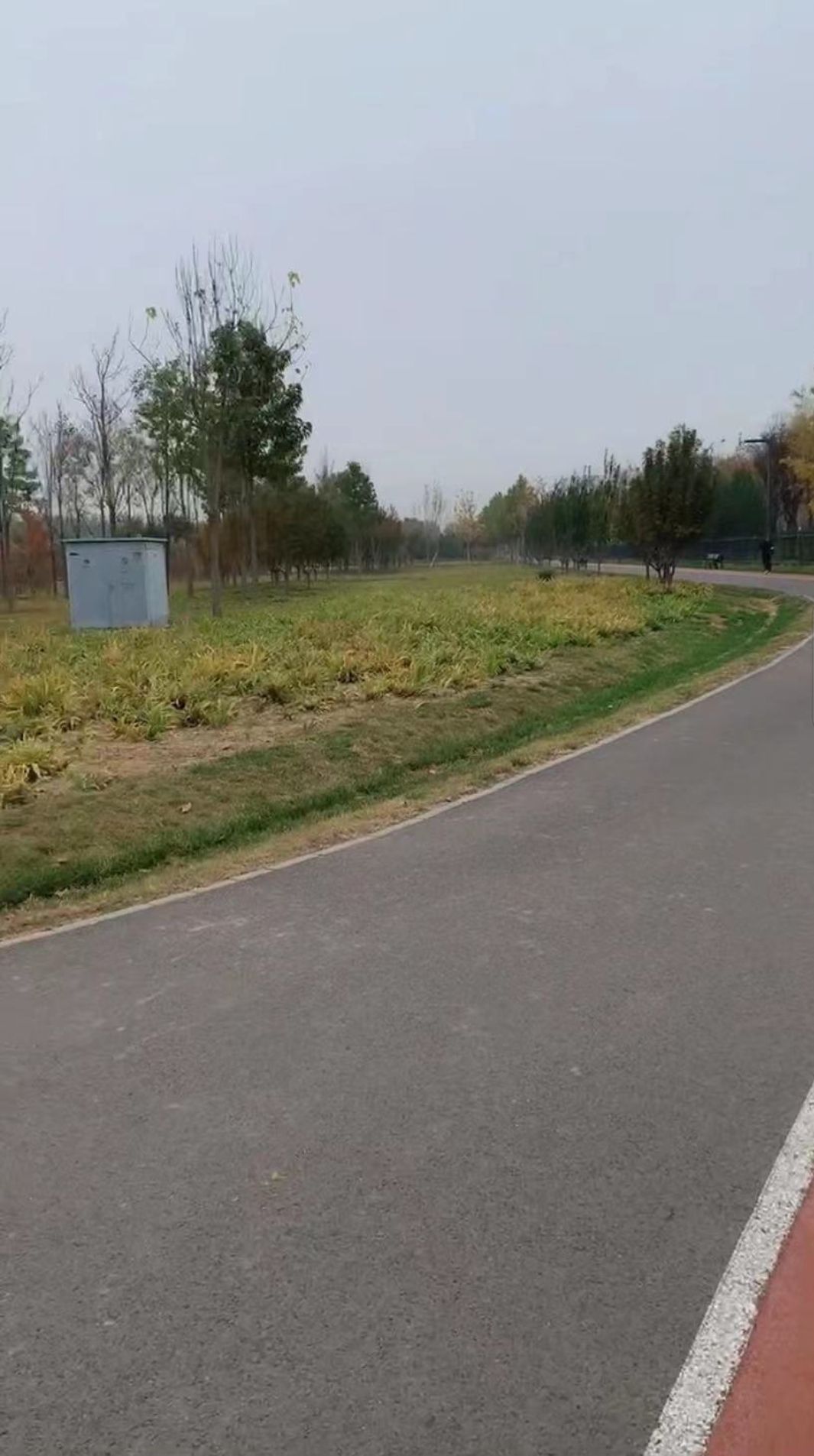 西红门生态公园旅行图片 2