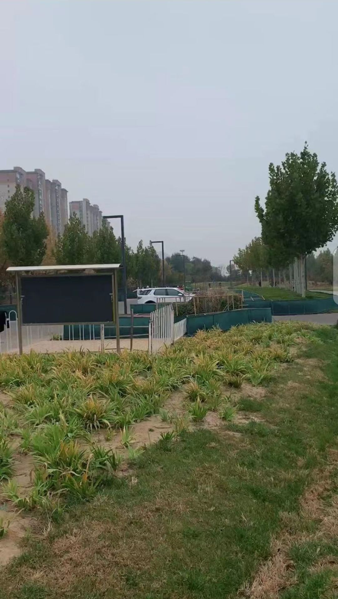 西红门生态公园旅行图片 1