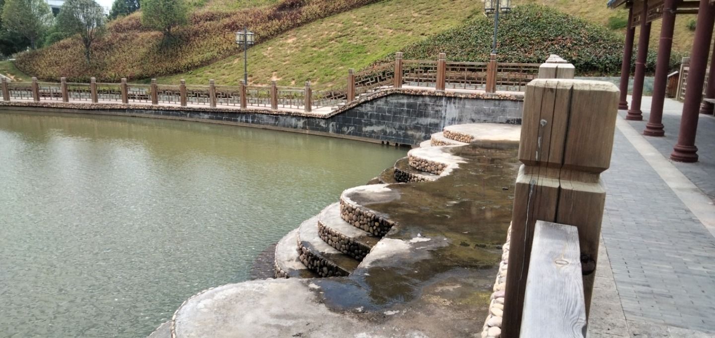 南桥公园旅行图片 3