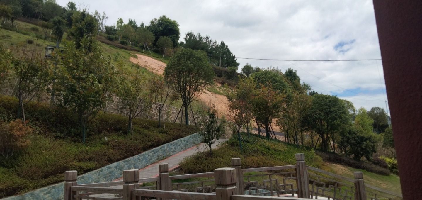 南桥公园旅行图片 2
