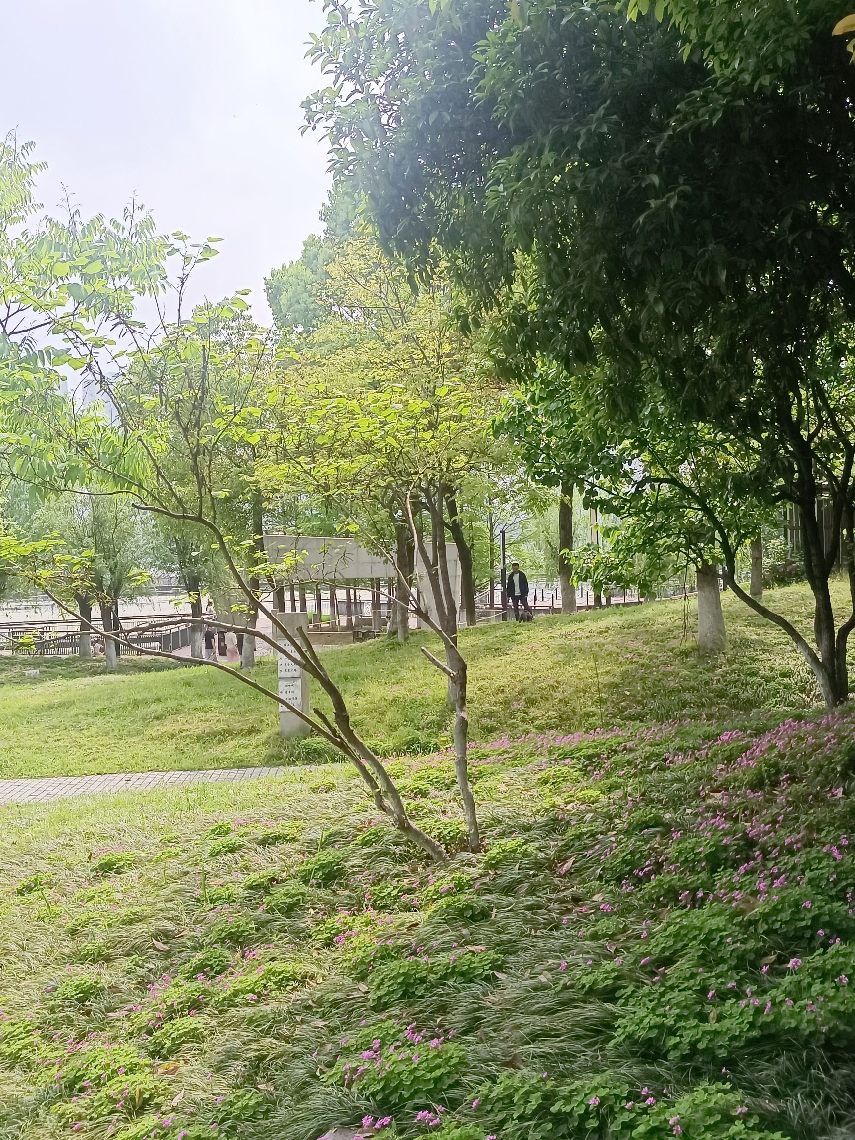 琴台公园旅行图片 3