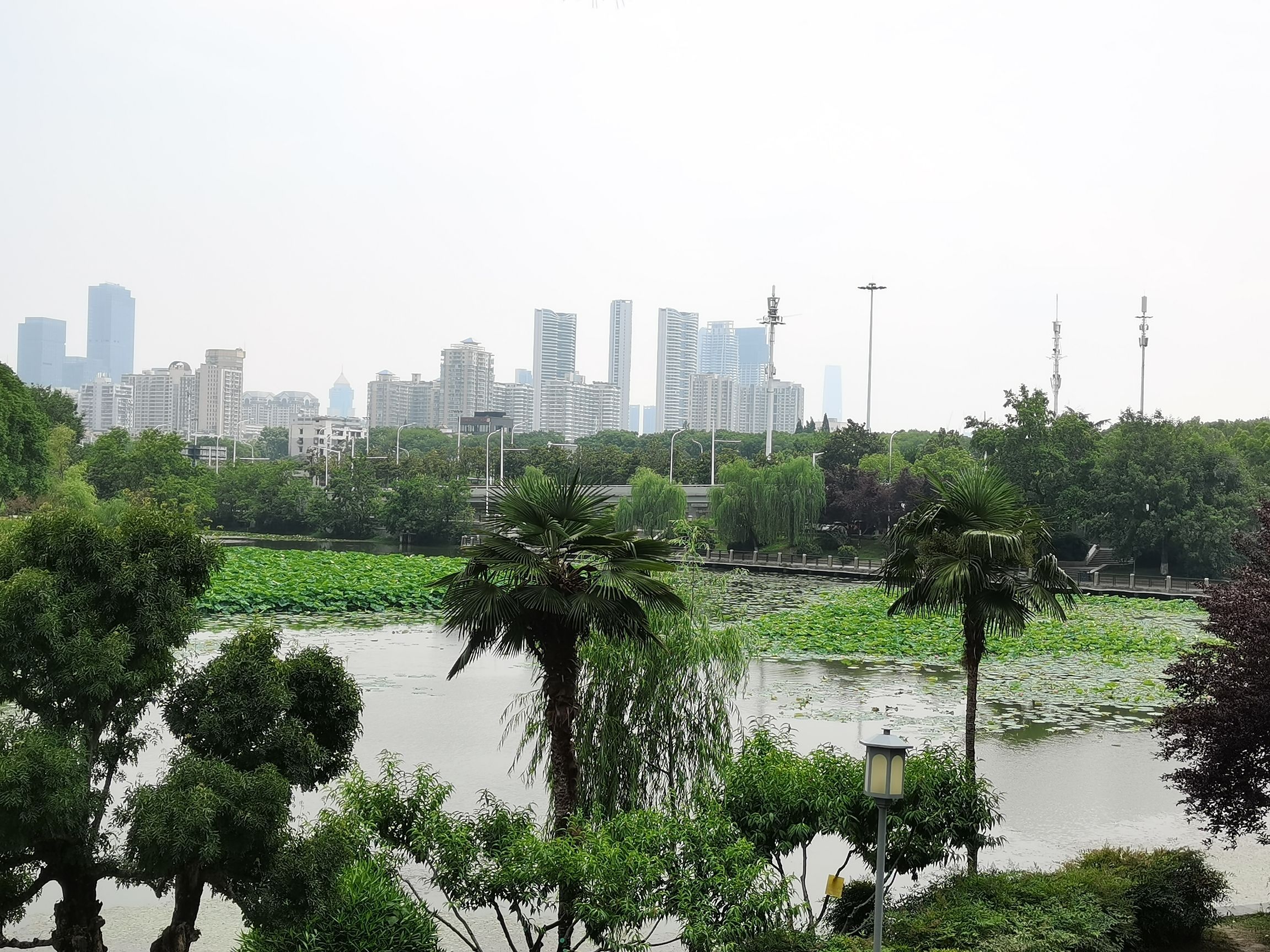 琴台公园旅行图片 1