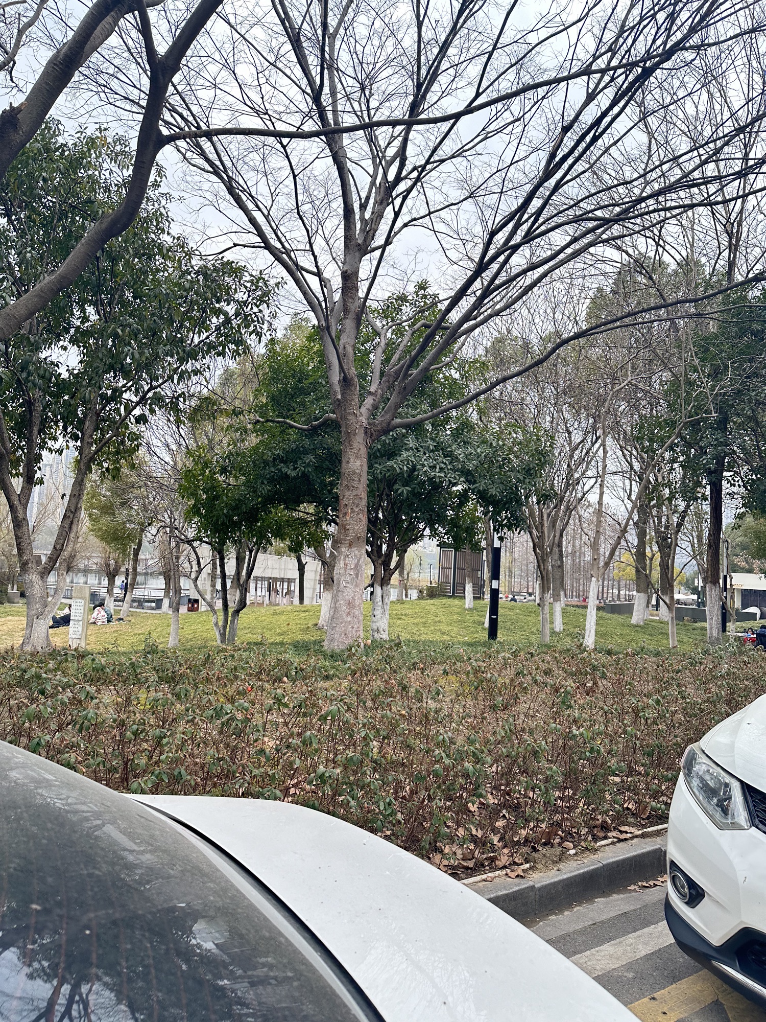 琴台公园旅行图片 2