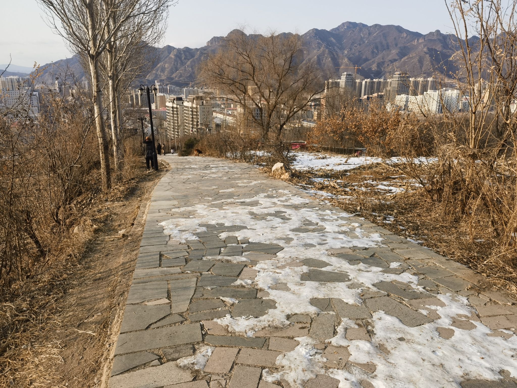 松云岭公园旅行图片 1