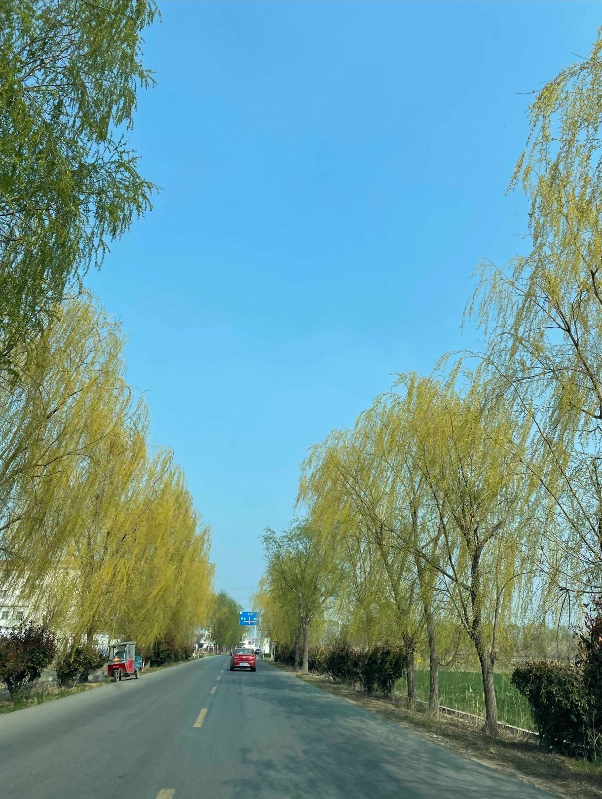 锦屏山景区旅行图片 3