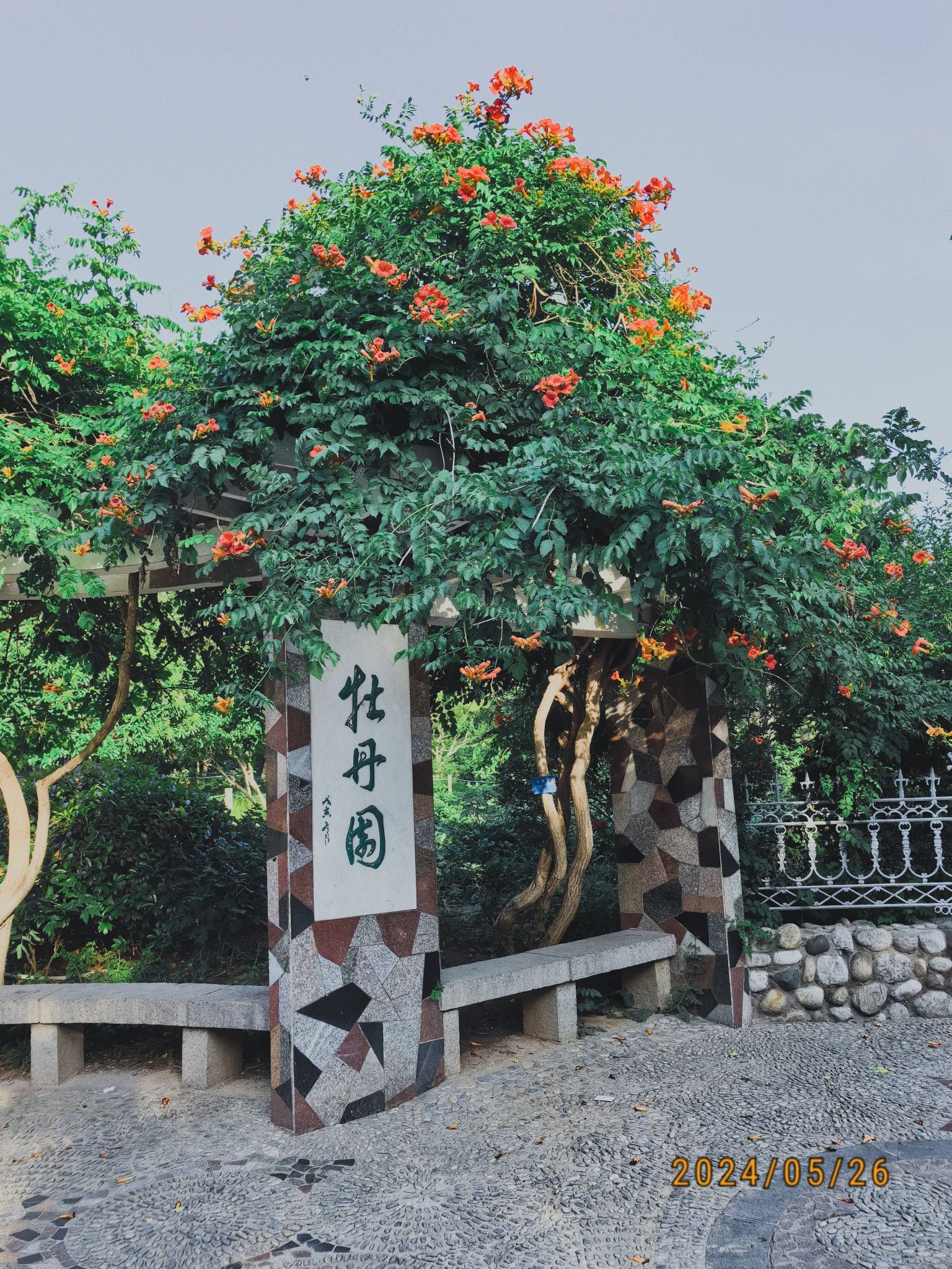 泉城印象游园旅行图片 3