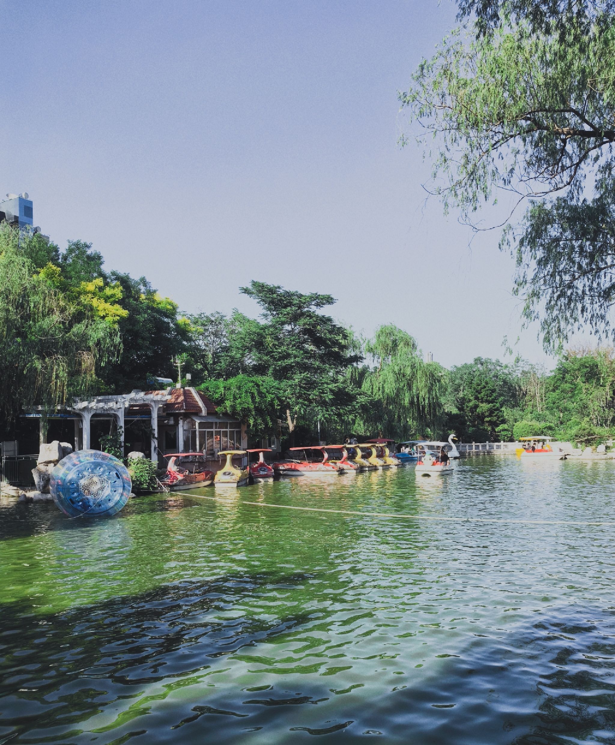泉城印象游园旅行图片 1