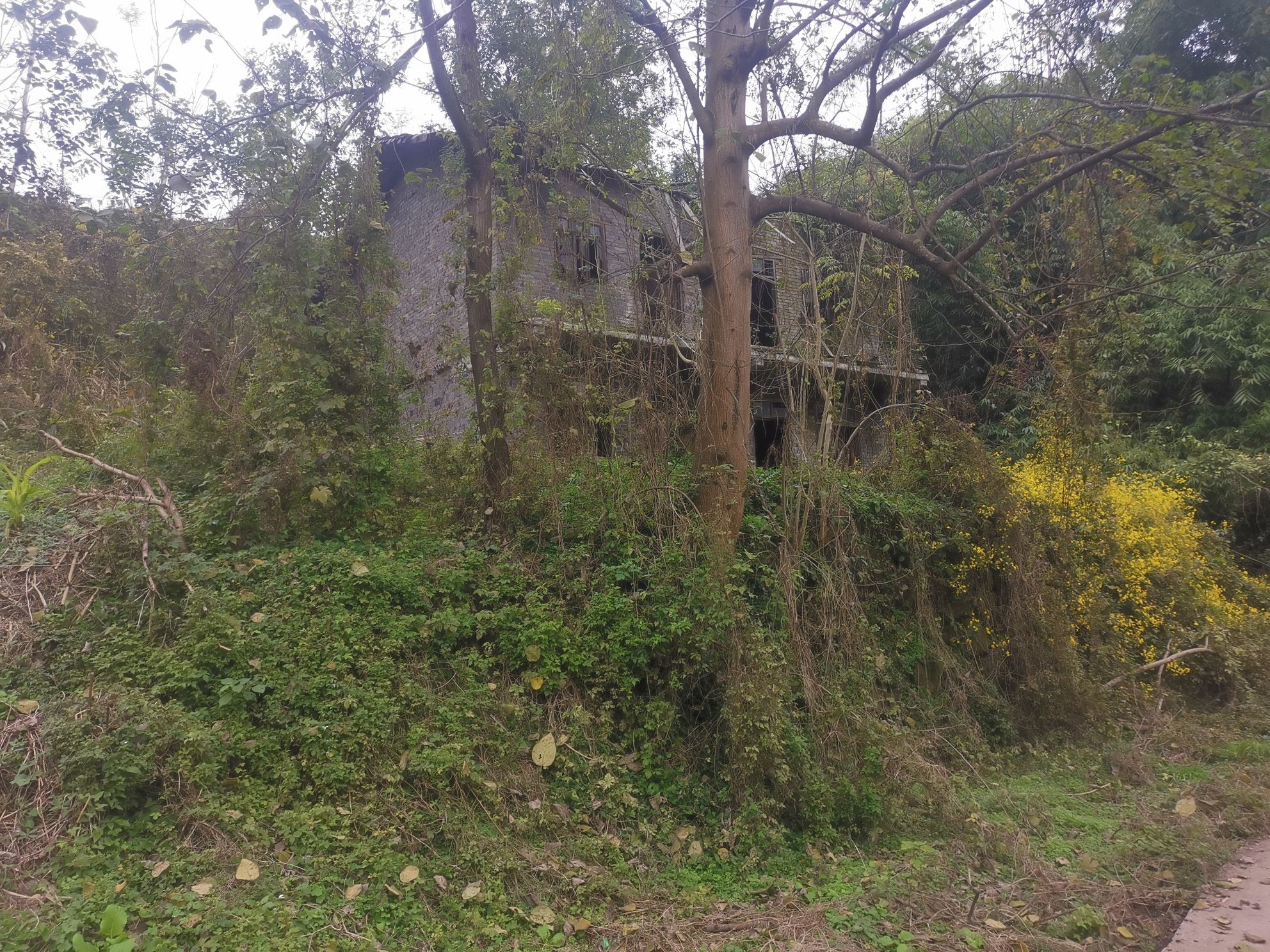 达州山水公园旅行图片 1