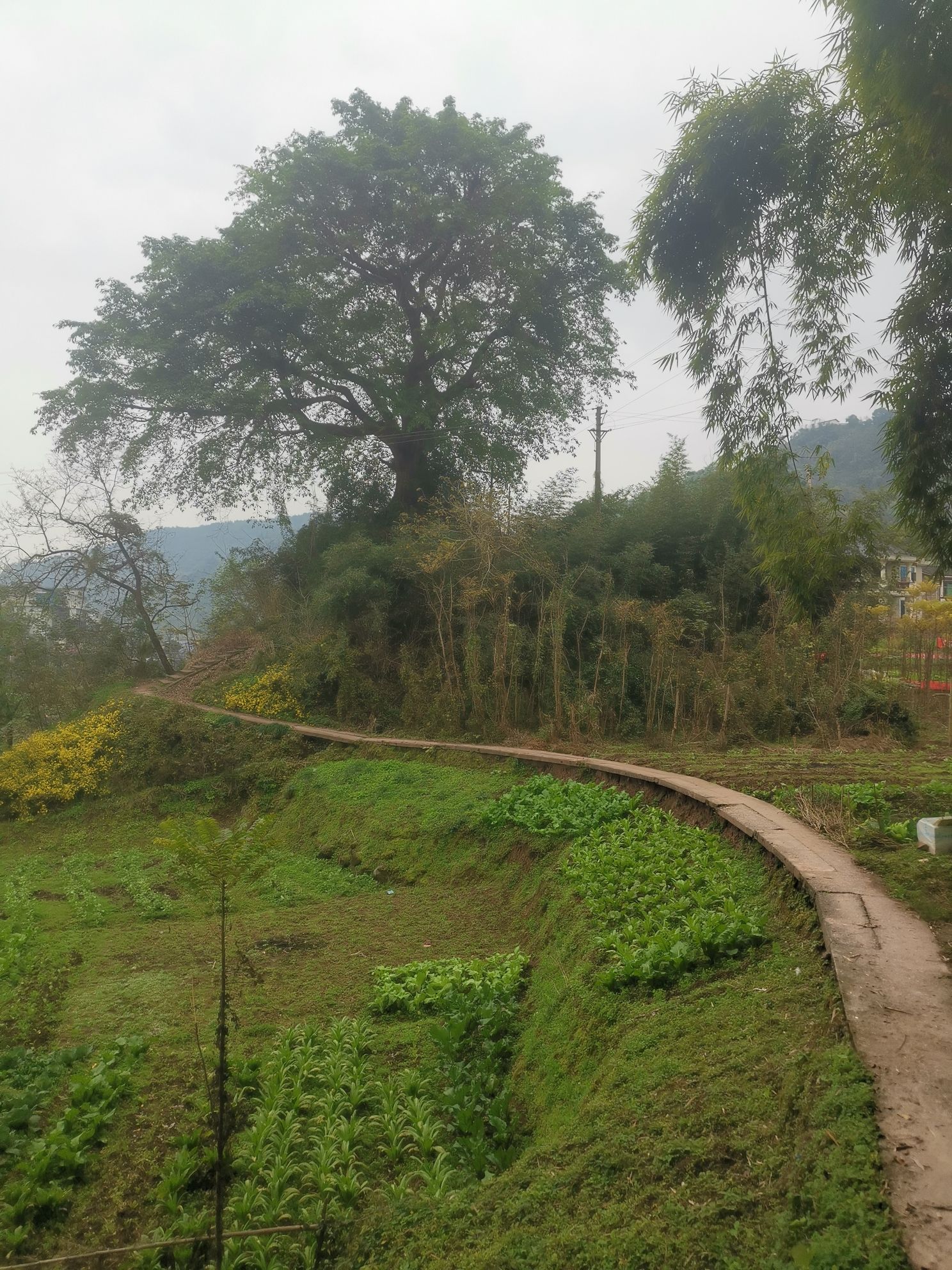 达州山水公园旅行图片 2