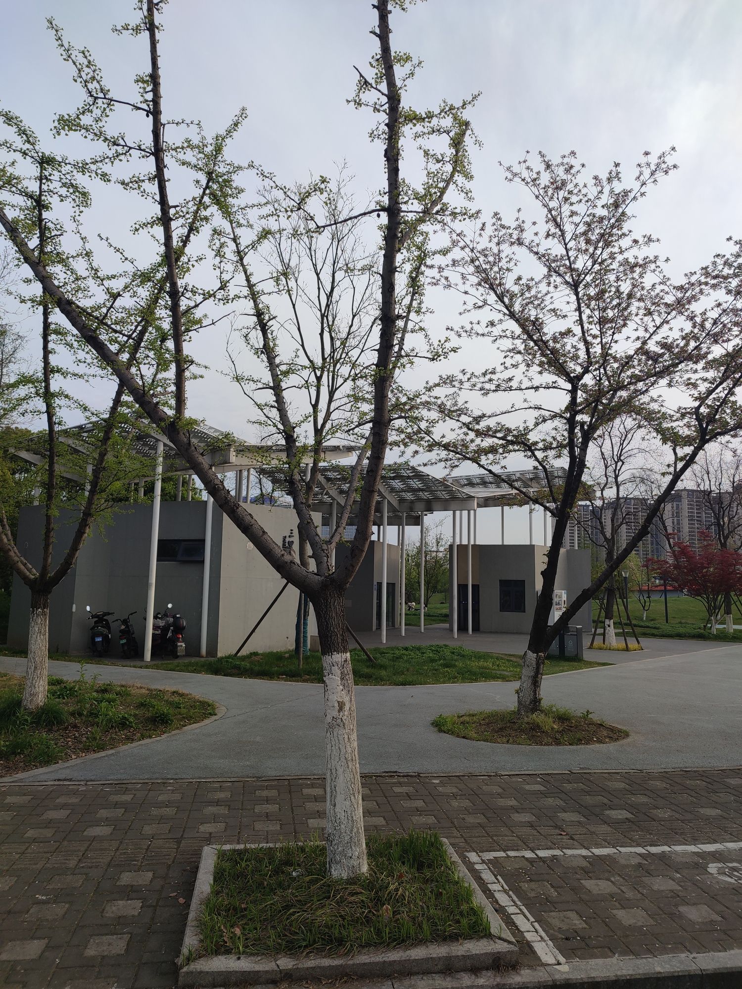 伯渎河公园旅行图片 2