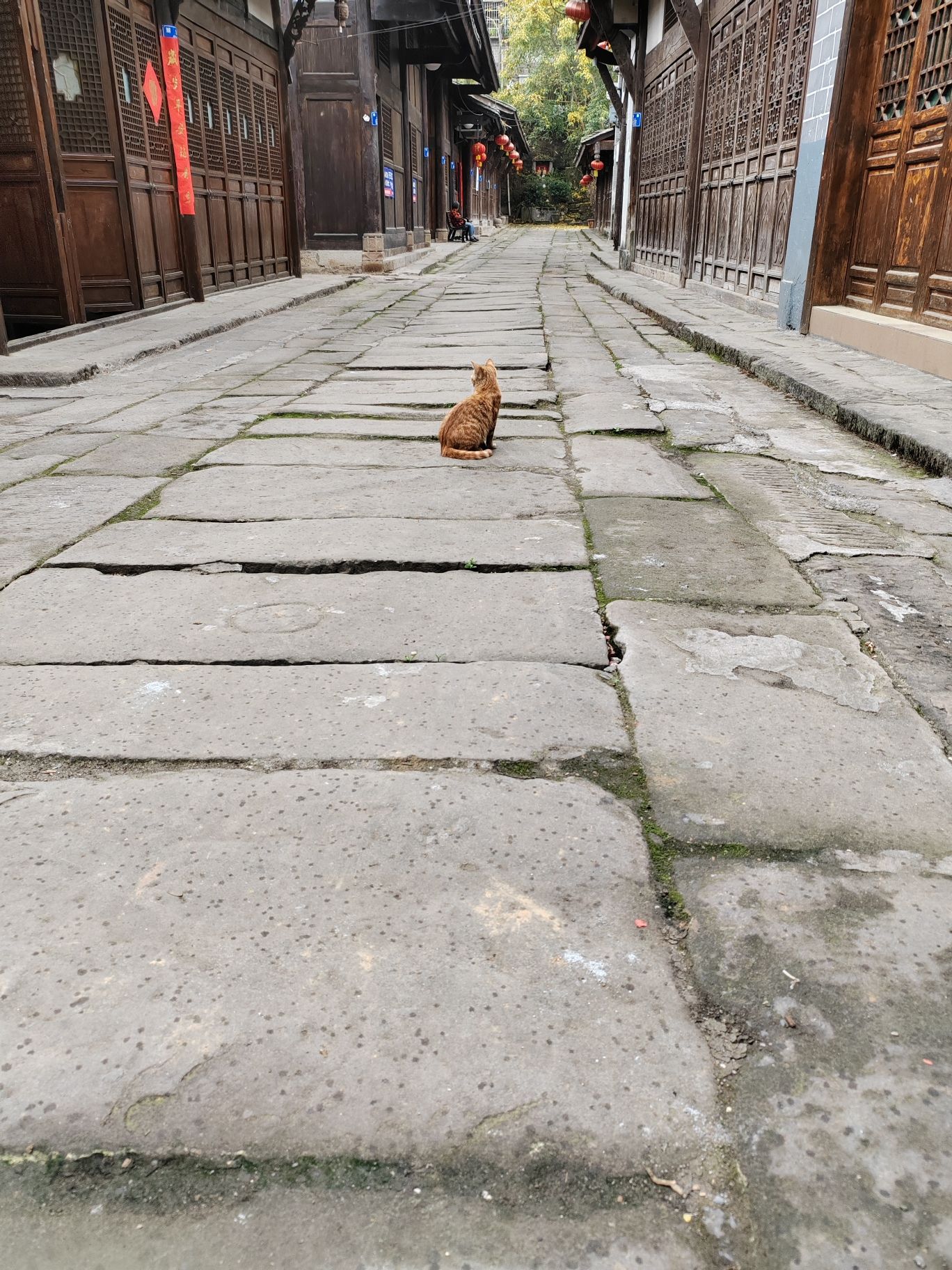蔺市古镇旅行图片 1