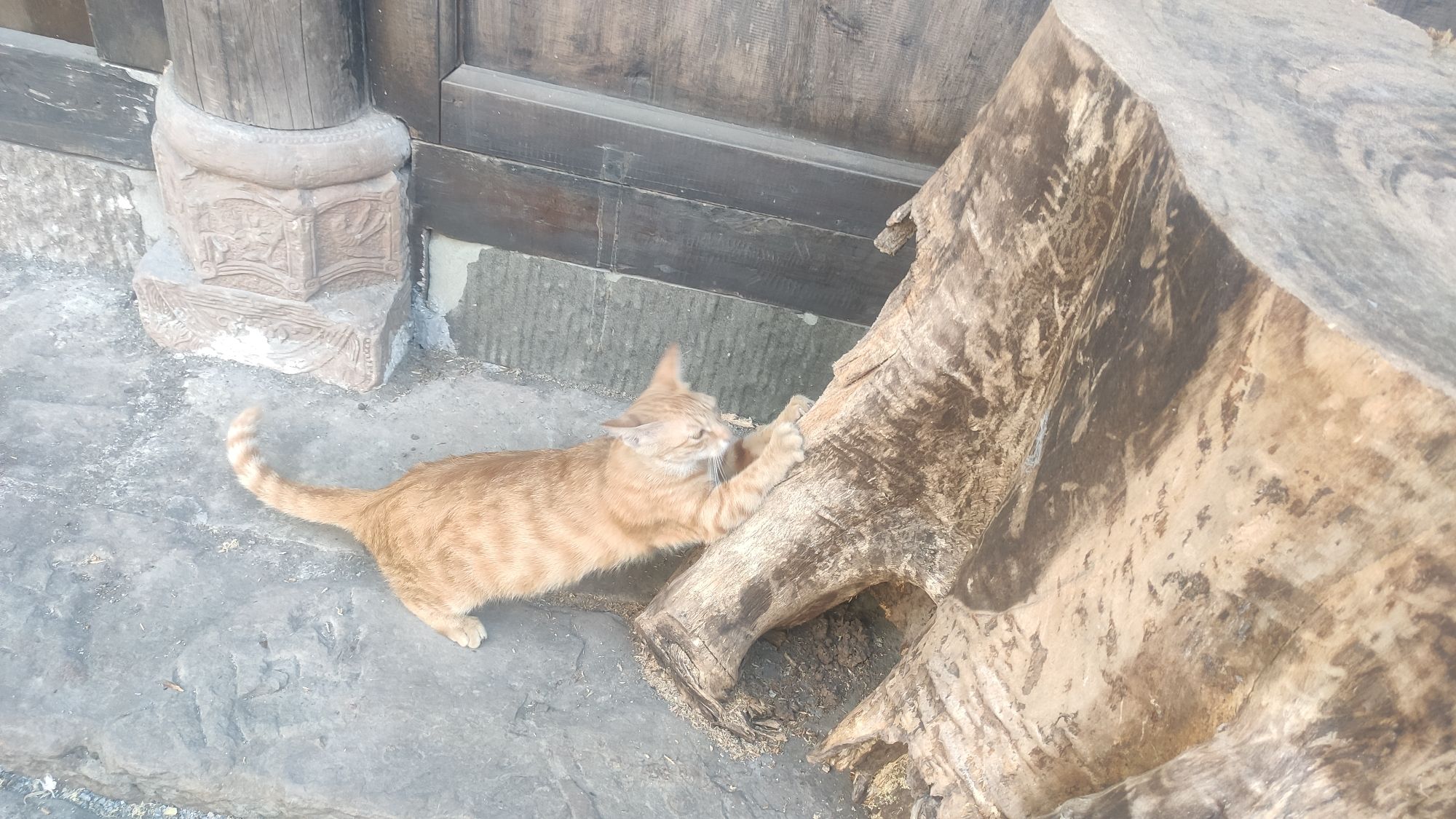 蔺市古镇旅行图片 3