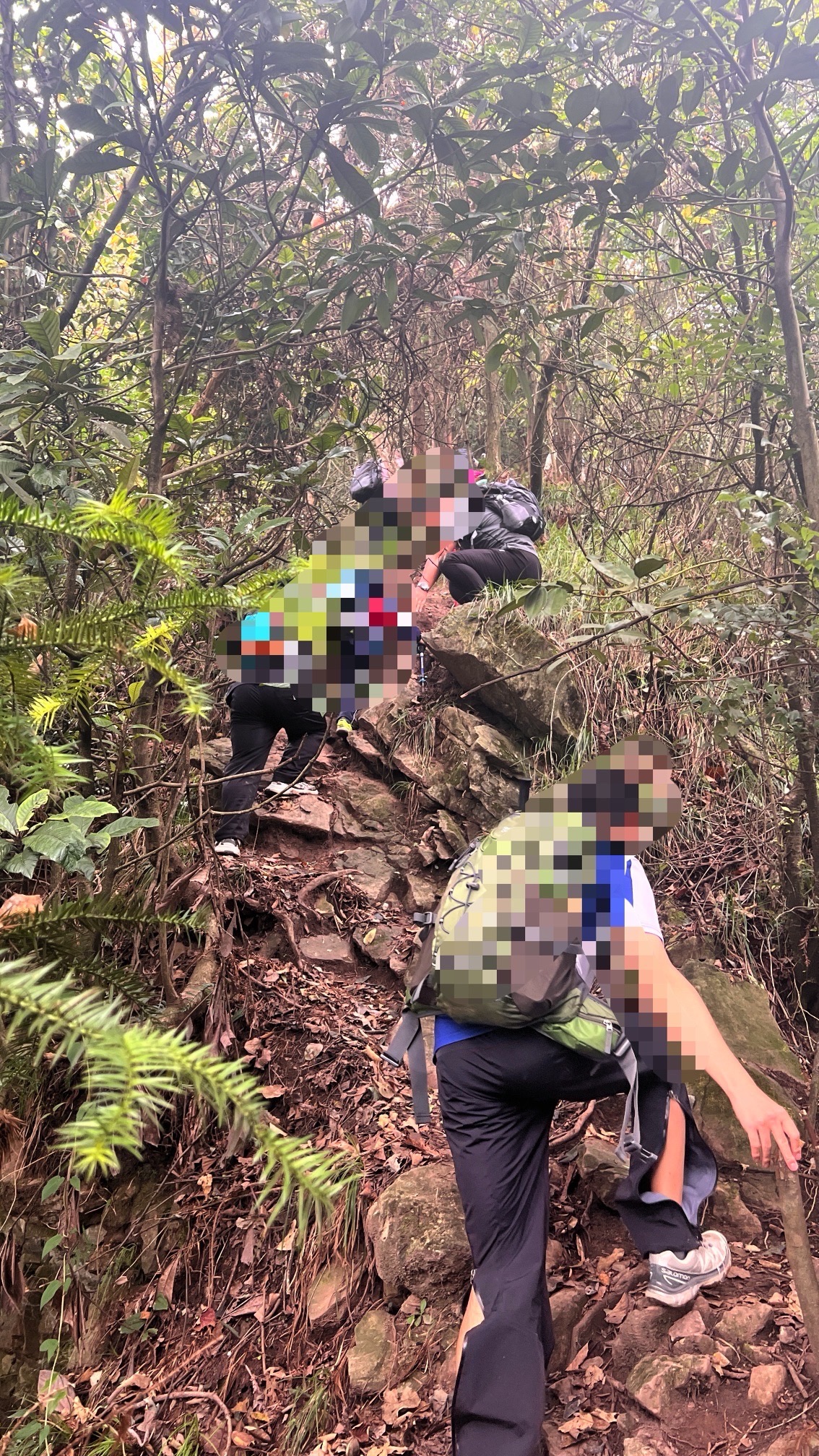 都统岩观景台旅行图片 1