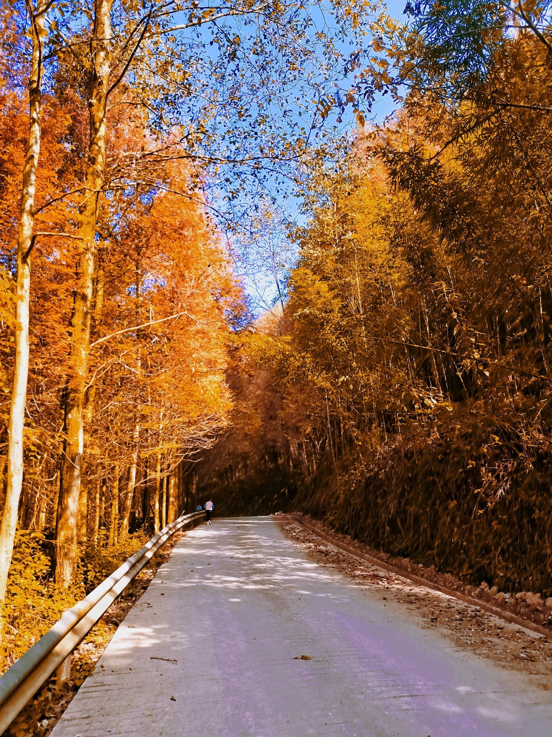 都统岩观景台旅行图片 3