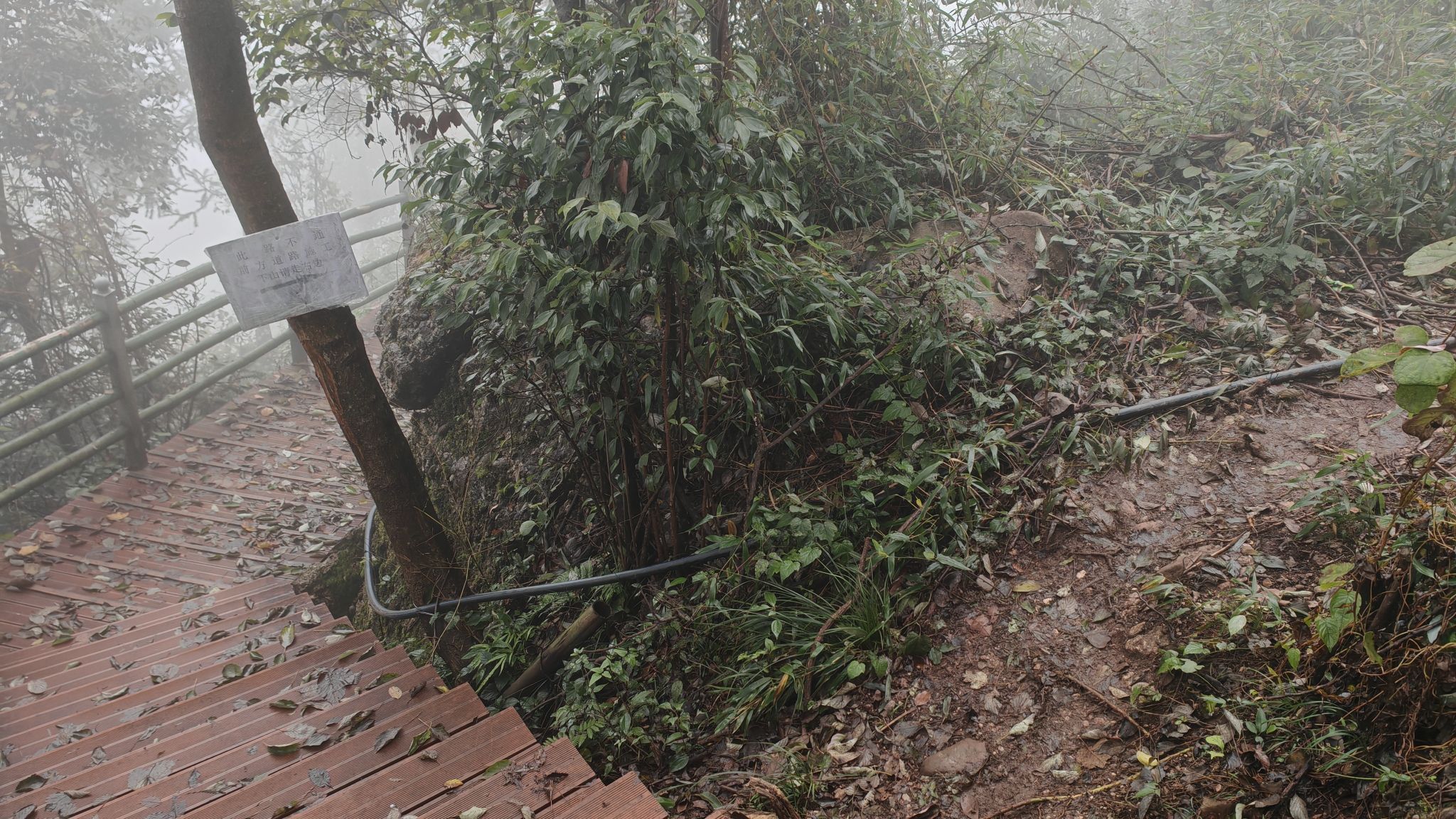 都统岩观景台旅行图片 2