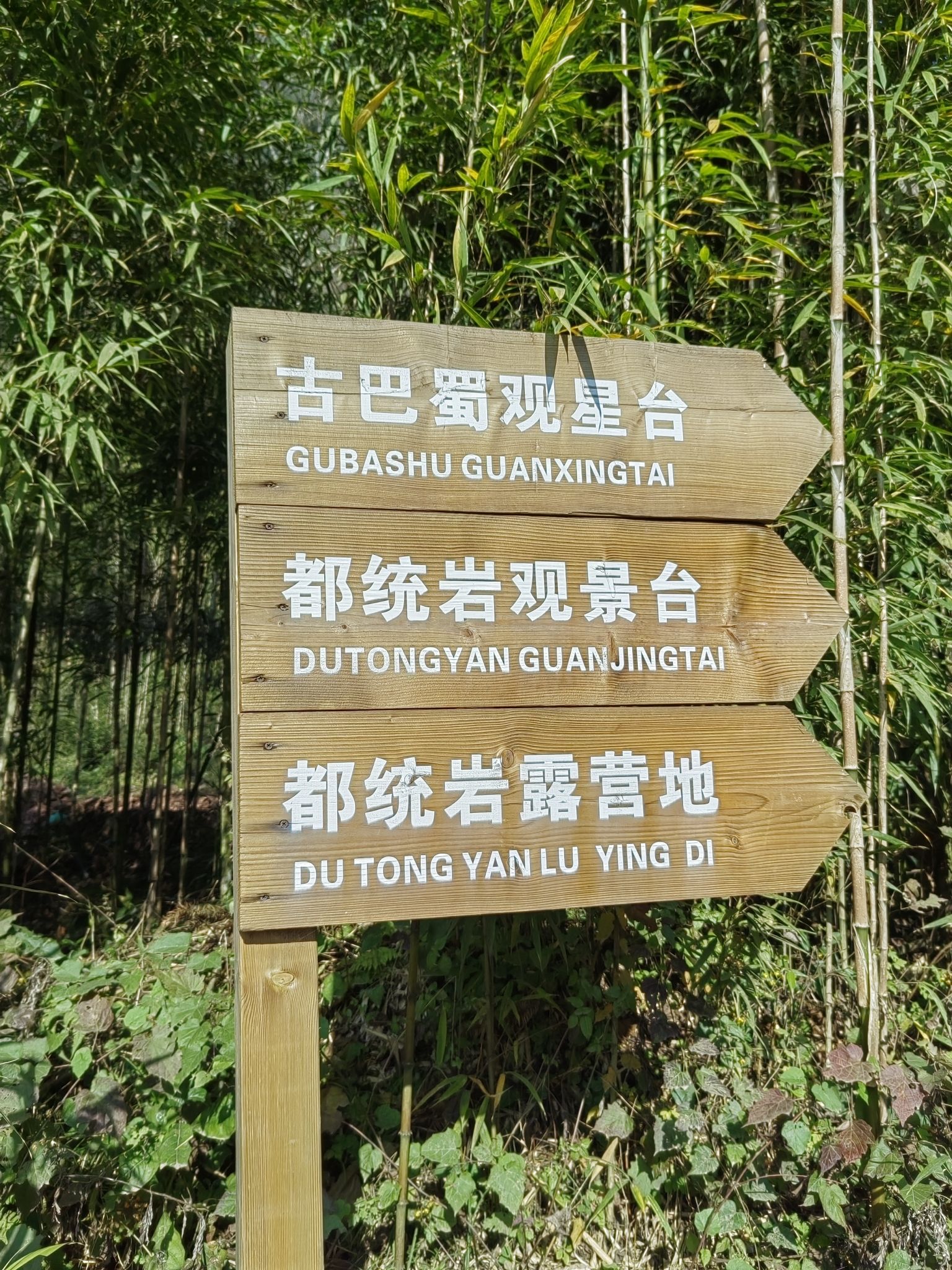 都统岩观景台旅行图片 3
