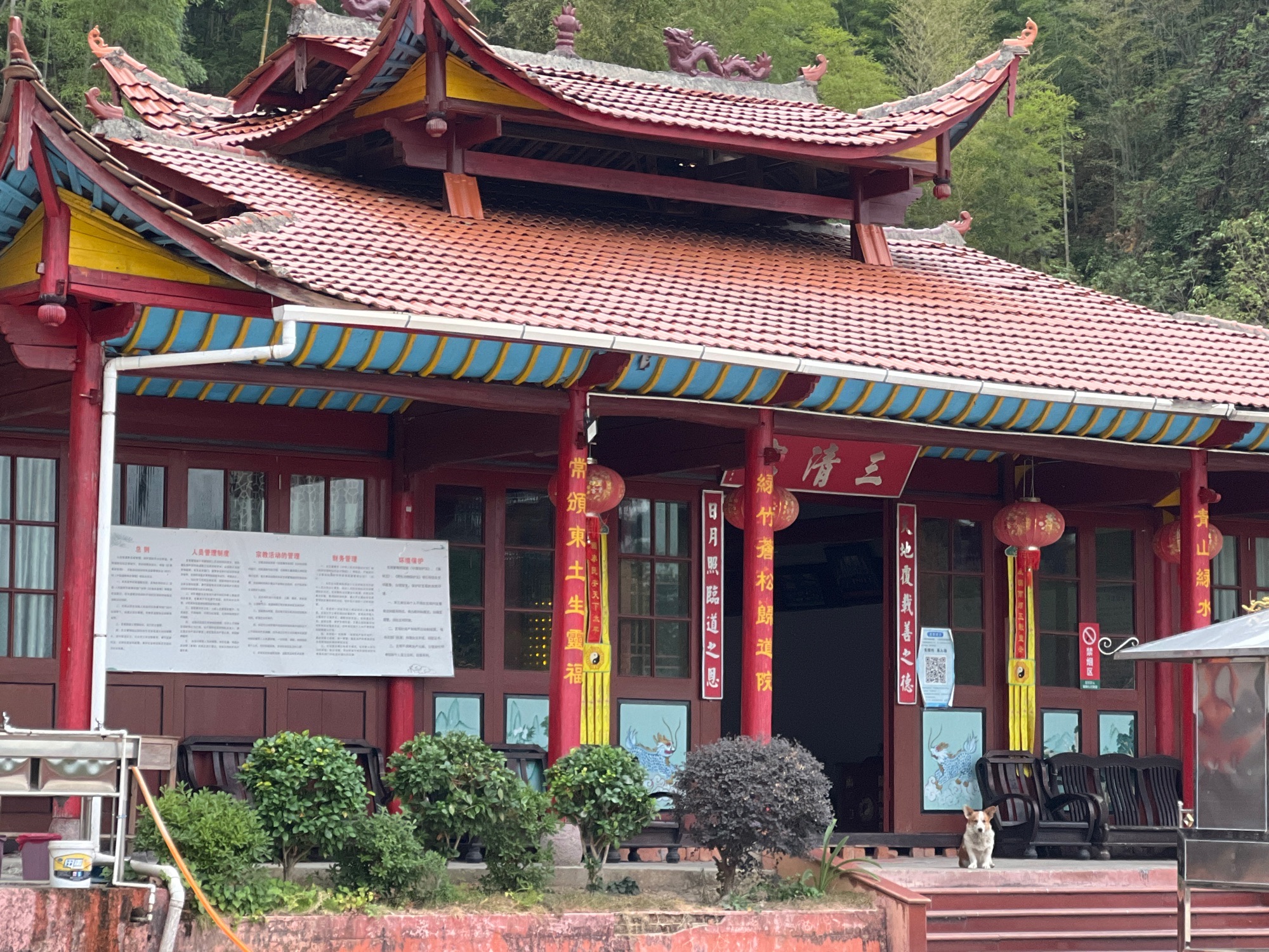 泰宁风景旅游区-广化宫旅行图片 3