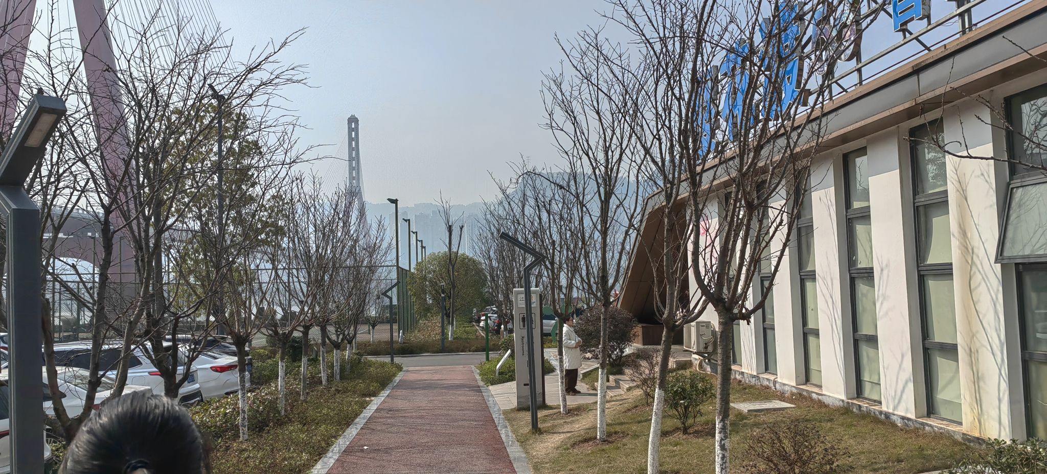 樱花渡公园旅行图片 1