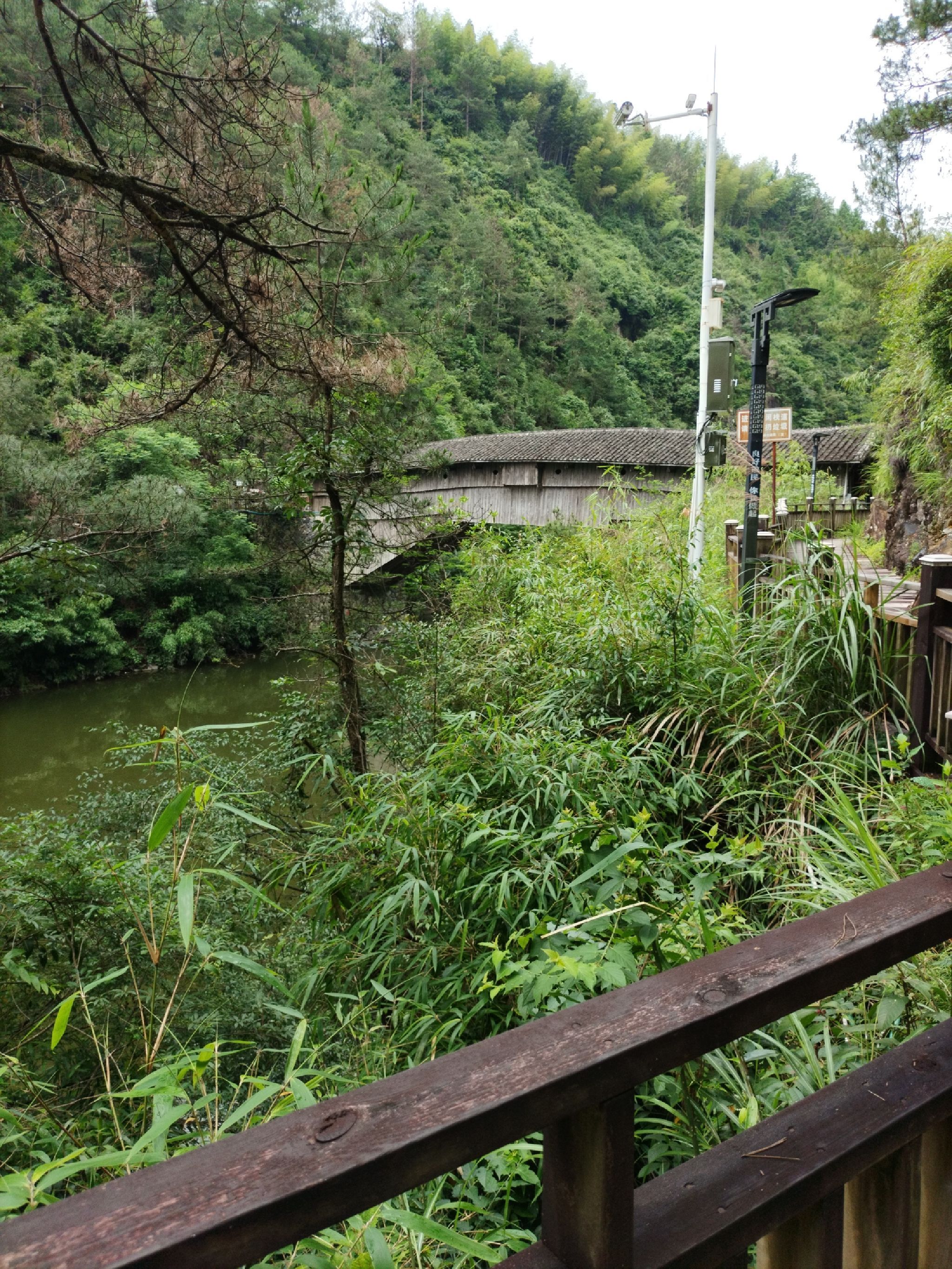 登云桥旅行图片 1