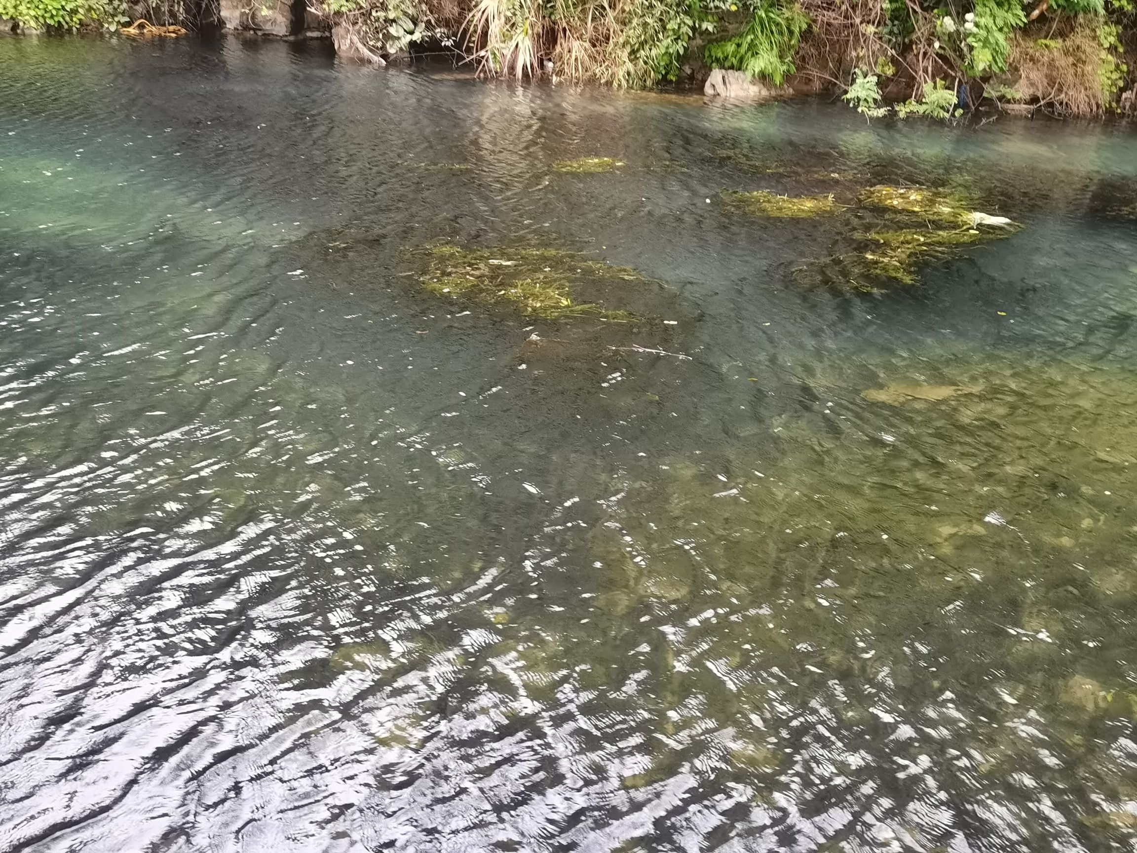 石岩生态旅游景区旅行图片 3