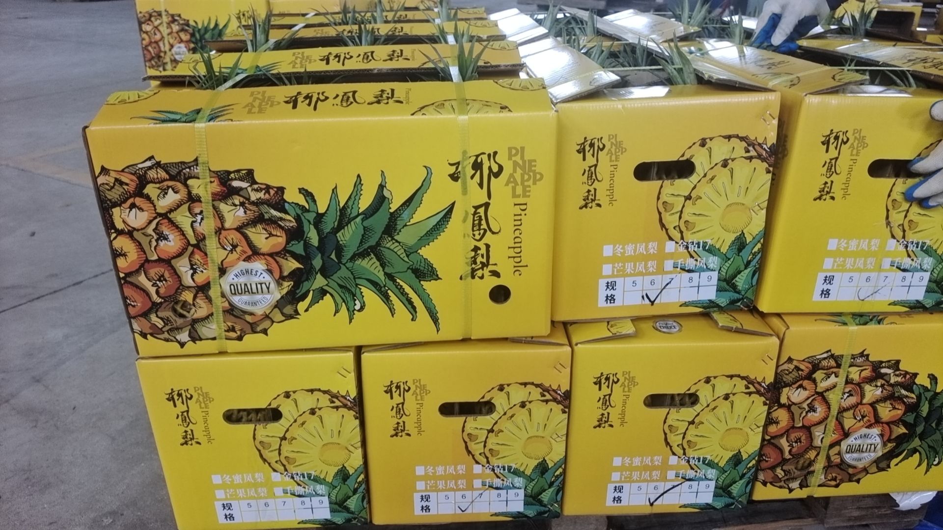 海南红明农产品(荔枝)交易中心